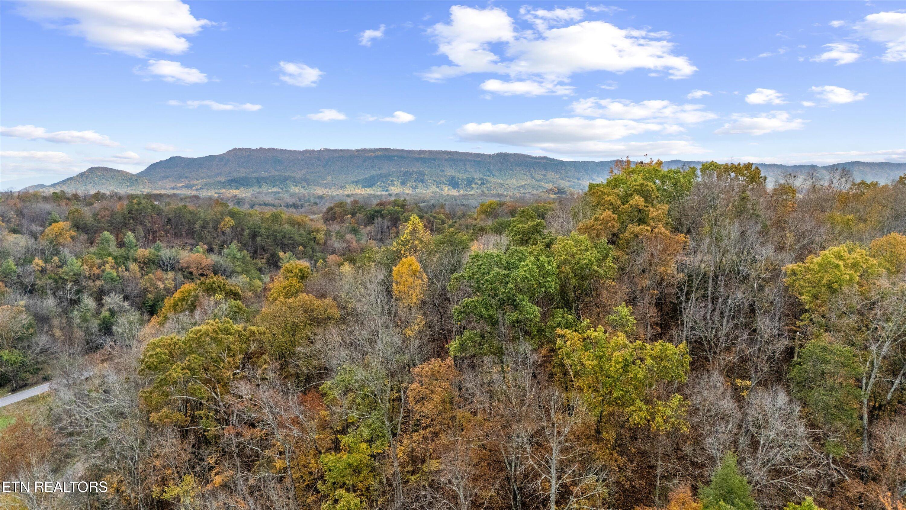 703 N Knob Creek Road Seymour TN 37865