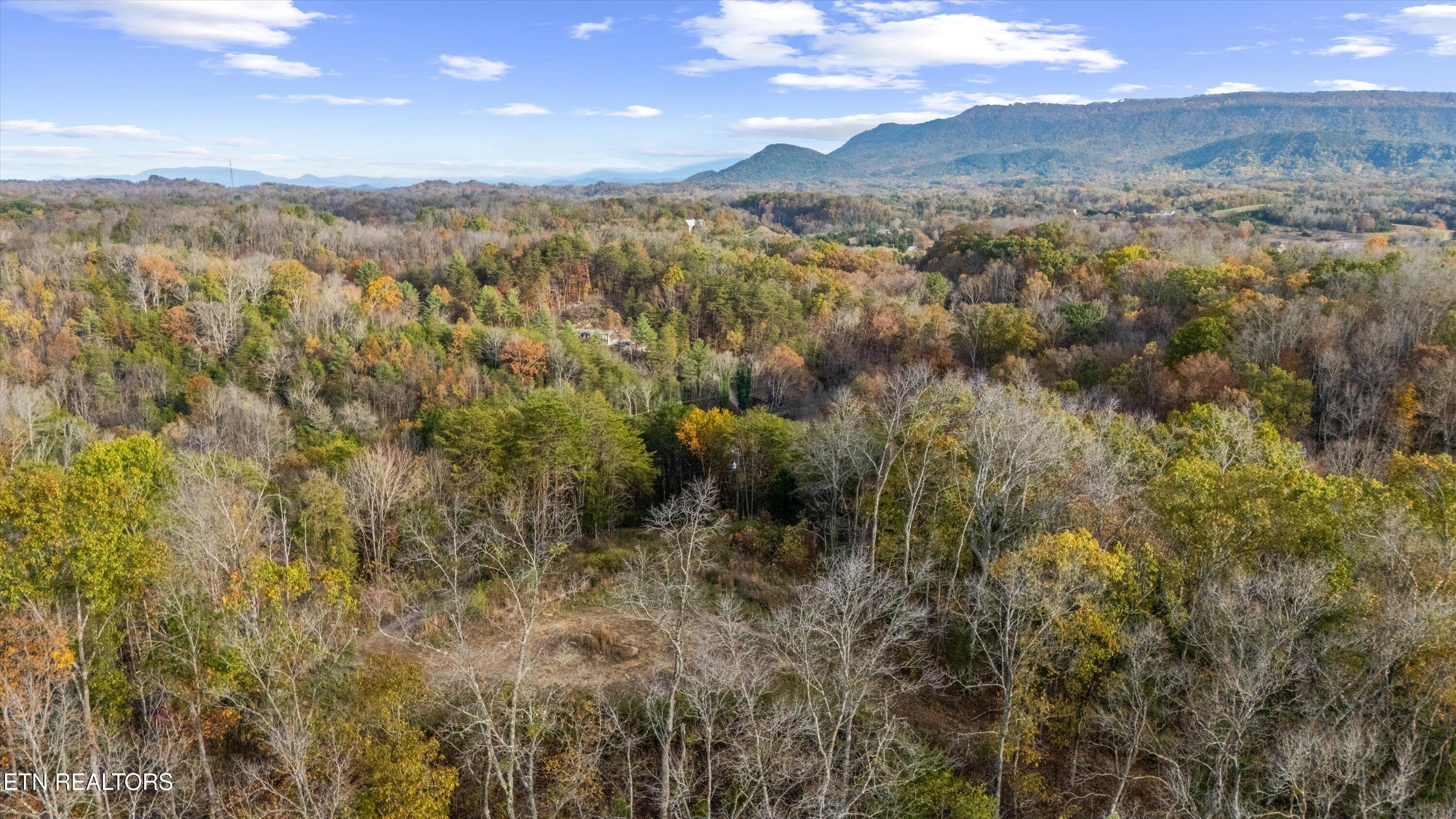 703 N Knob Creek Road Seymour TN 37865