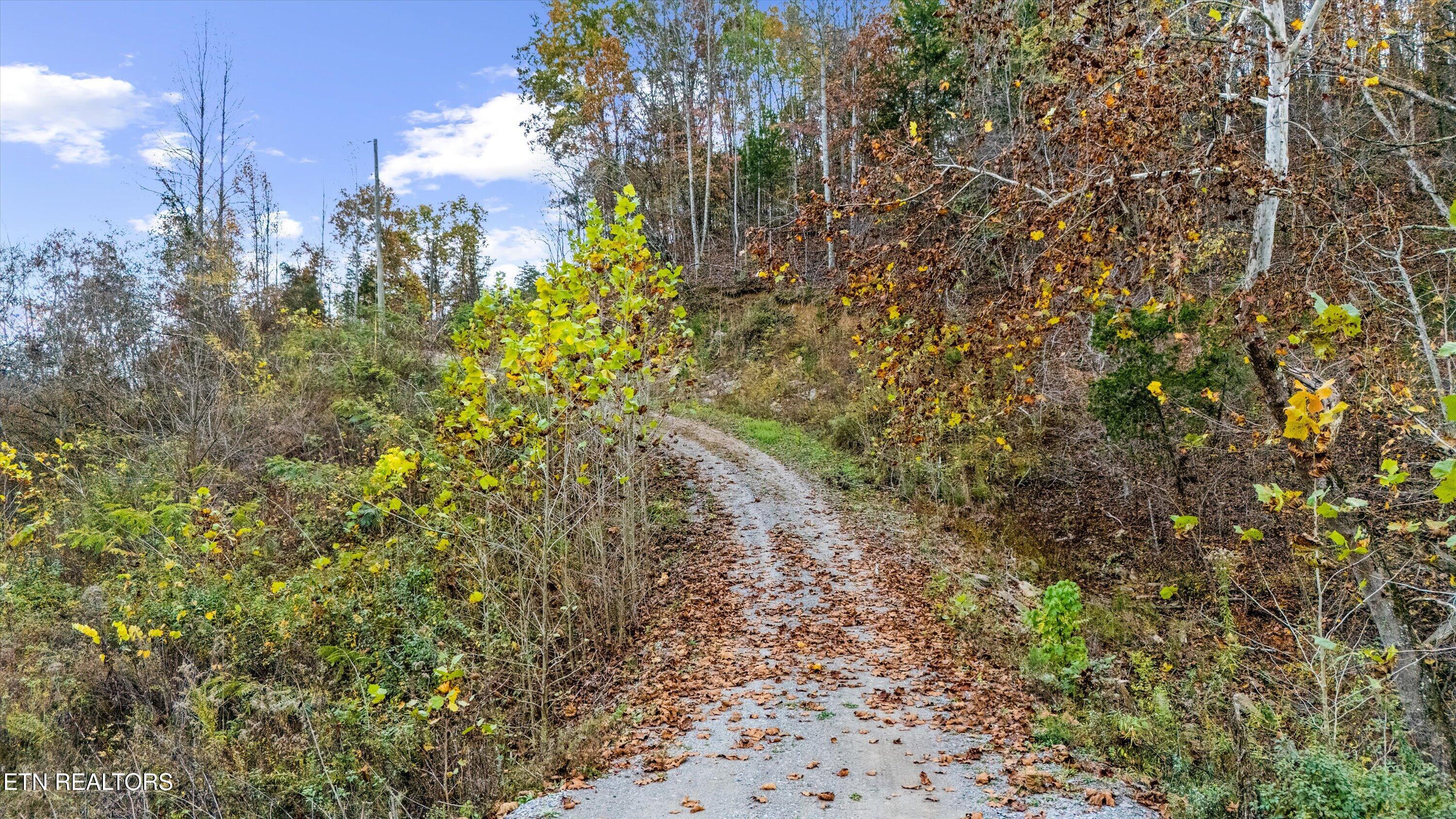 703 N Knob Creek Road Seymour TN 37865