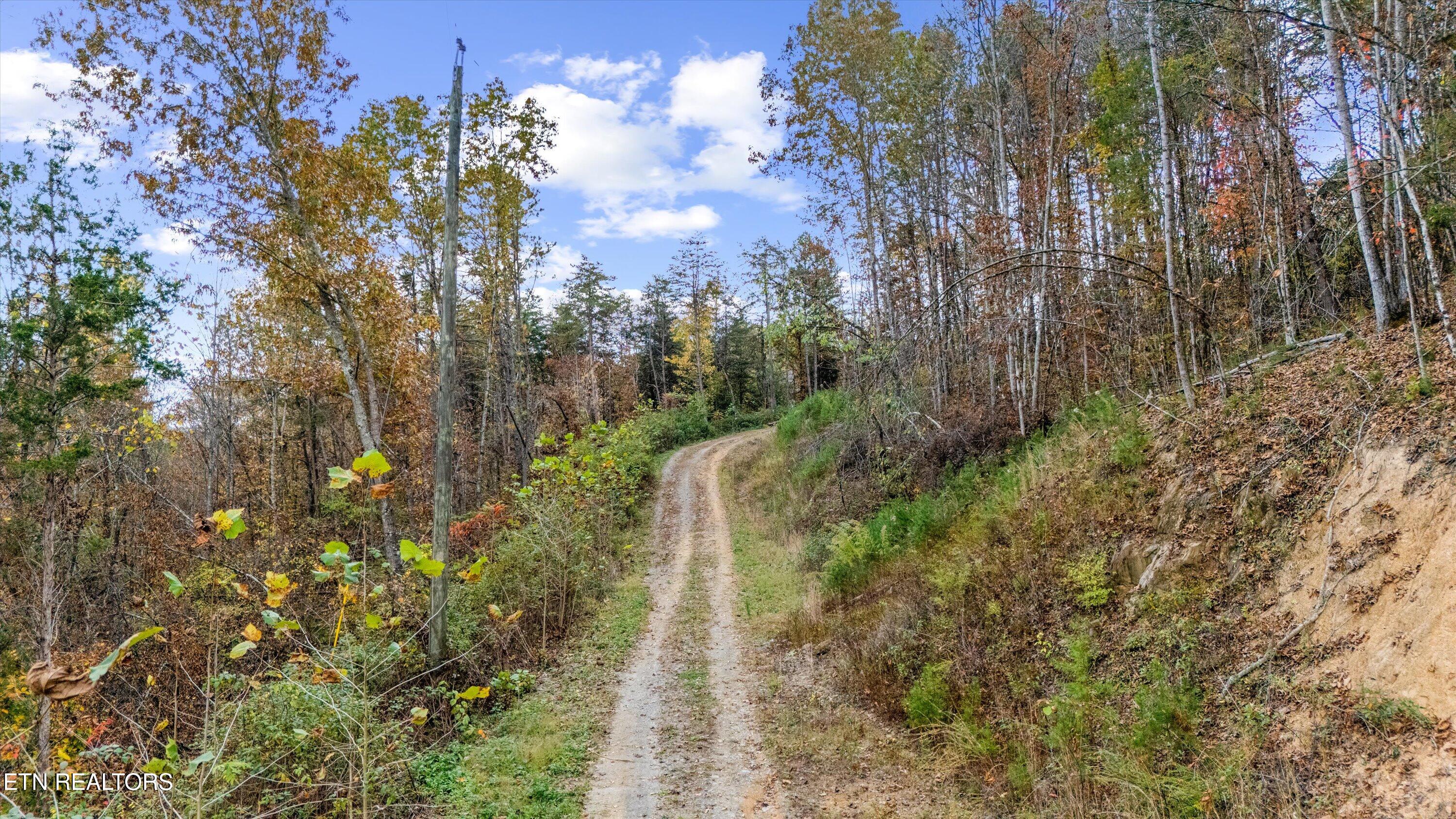 703 N Knob Creek Road Seymour TN 37865