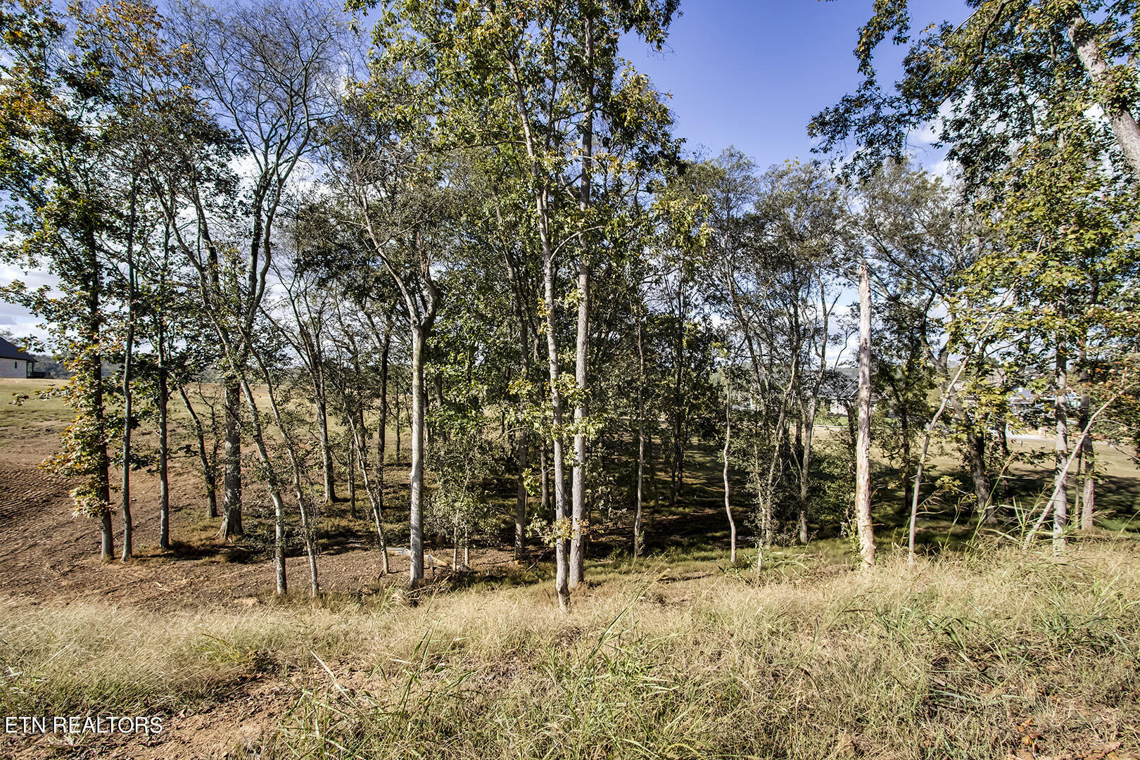 173 Keho Court Loudon TN 37774