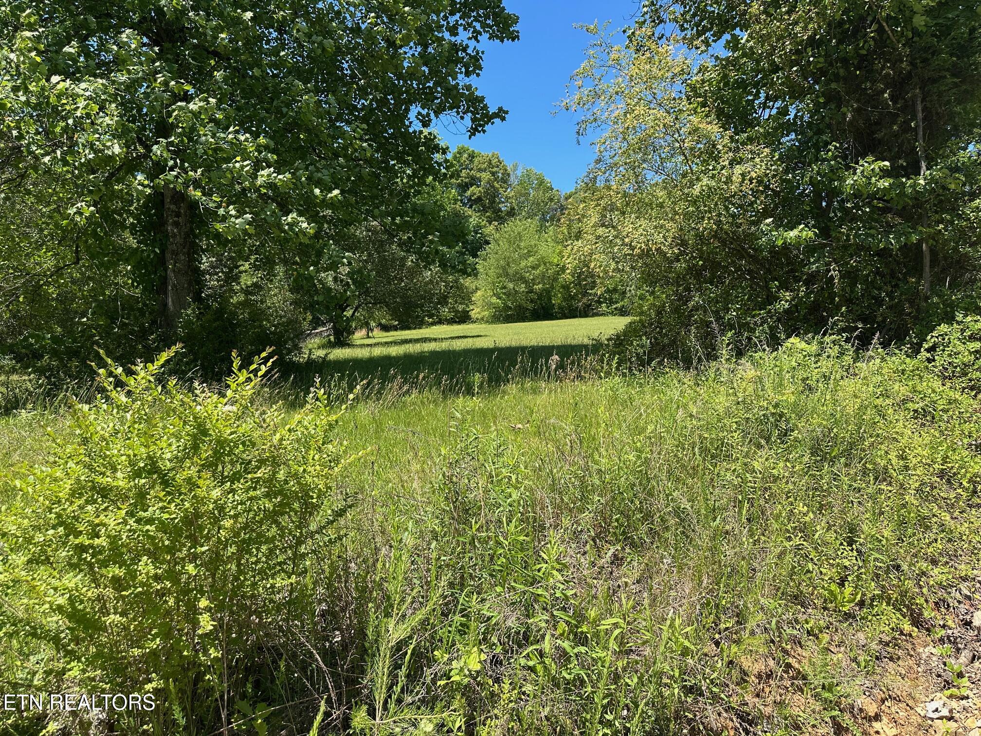 Mars Hill Road Spring City TN 37381