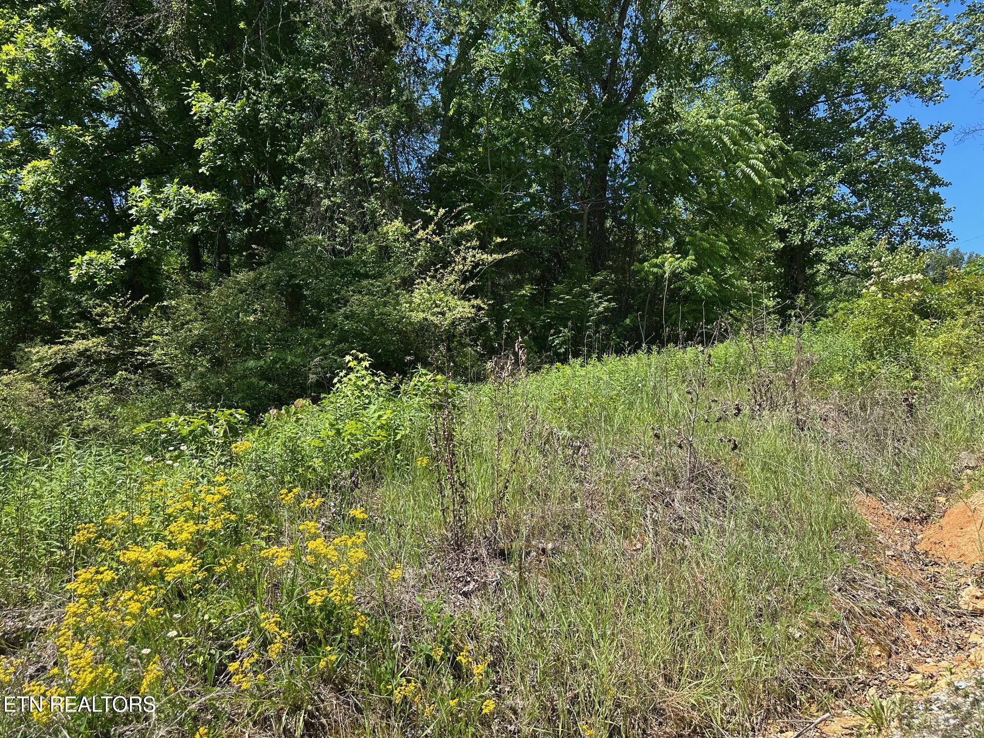 Mars Hill Road Spring City TN 37381