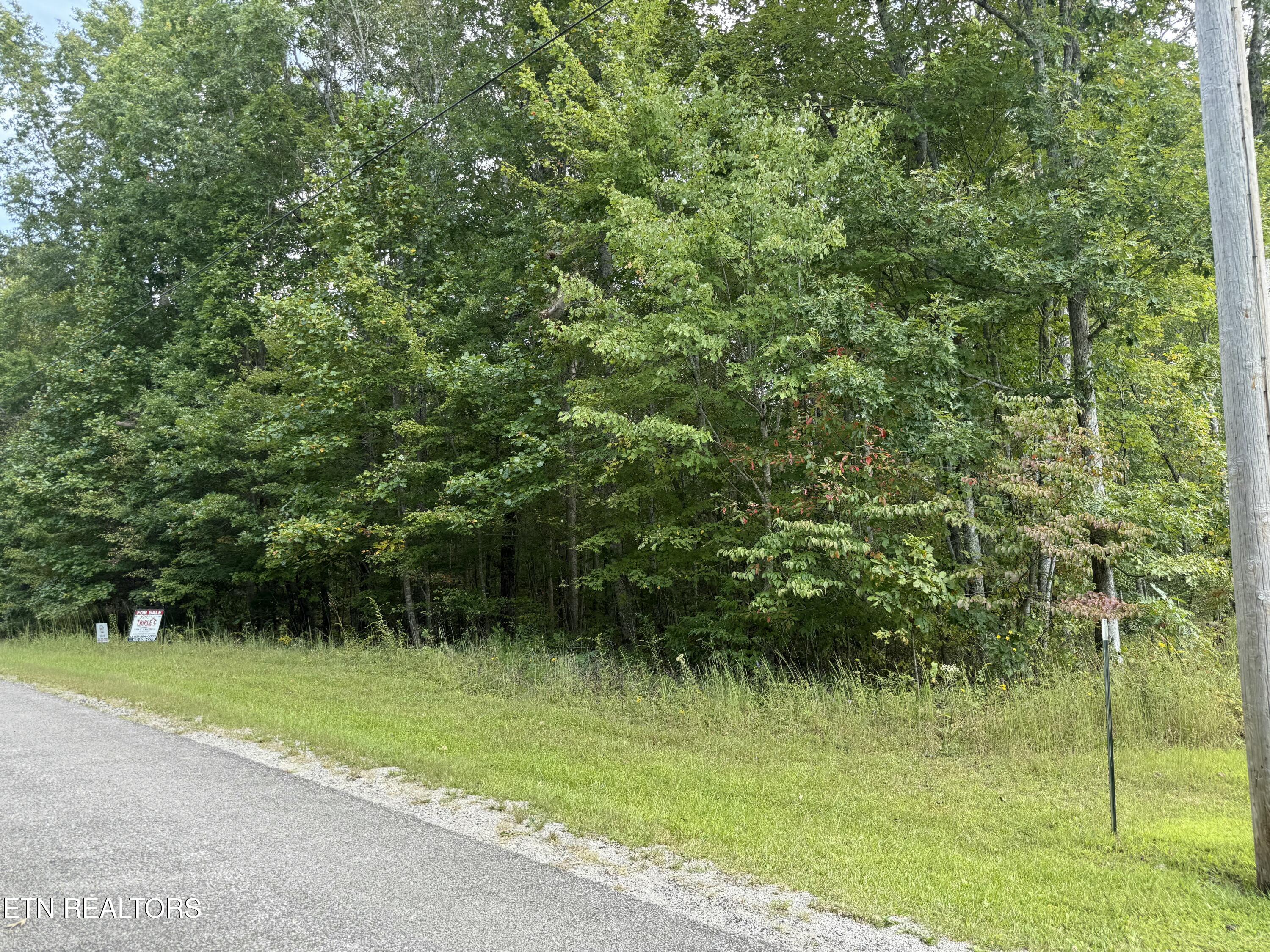 0 Mountain Laurel Trail Clarkrange TN 38553