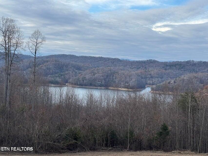 Lot 35 Hickory Pointe Lane Maynardville TN 37807