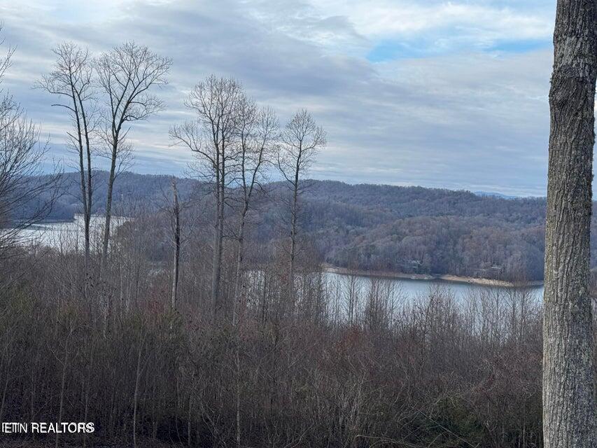 Lot 35 Hickory Pointe Lane Maynardville TN 37807