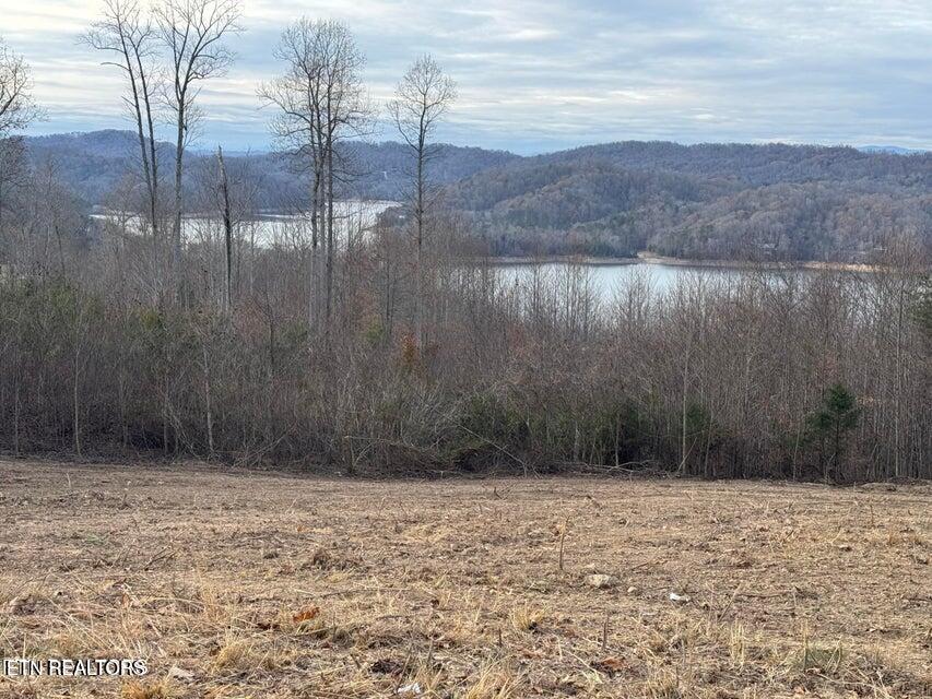Lot 35 Hickory Pointe Lane Maynardville TN 37807