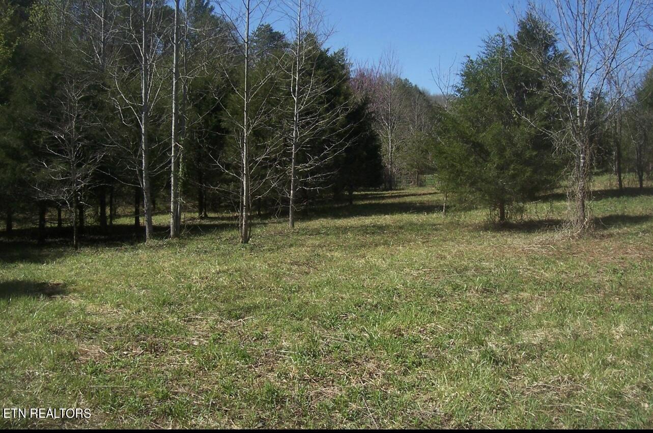 English Fields Drive Newport TN 37821