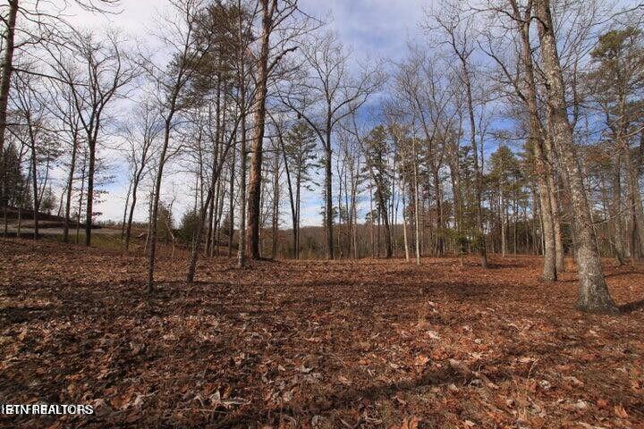 Lot 4 Cliffmont Jamestown TN 38556