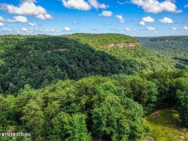Lot 4 Cliffmont Jamestown TN 38556