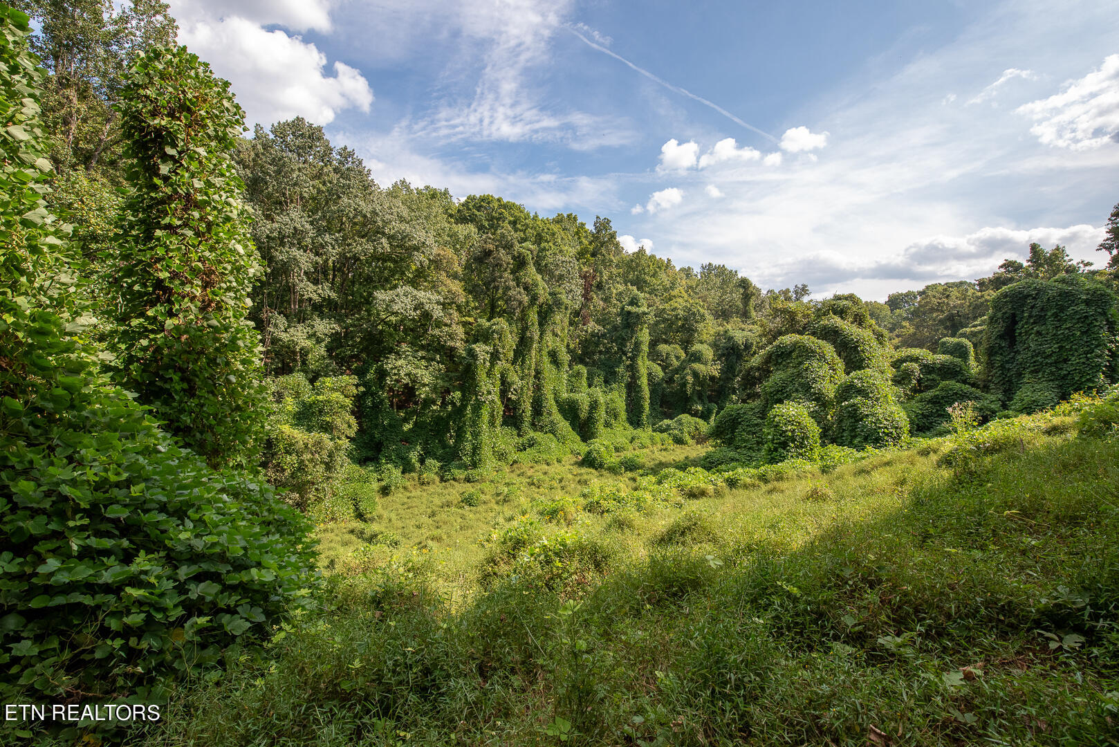 3696 Crown Point Road Louisville TN 37777