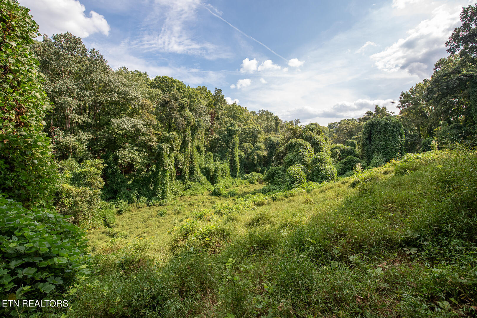 3696 Crown Point Road Louisville TN 37777