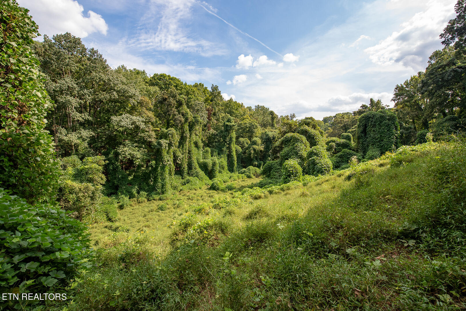 3696 Crown Point Road Louisville TN 37777