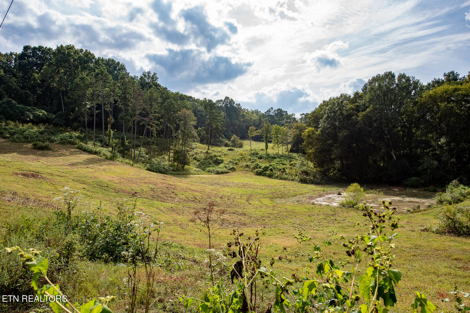 3696 Crown Point Road Louisville TN 37777
