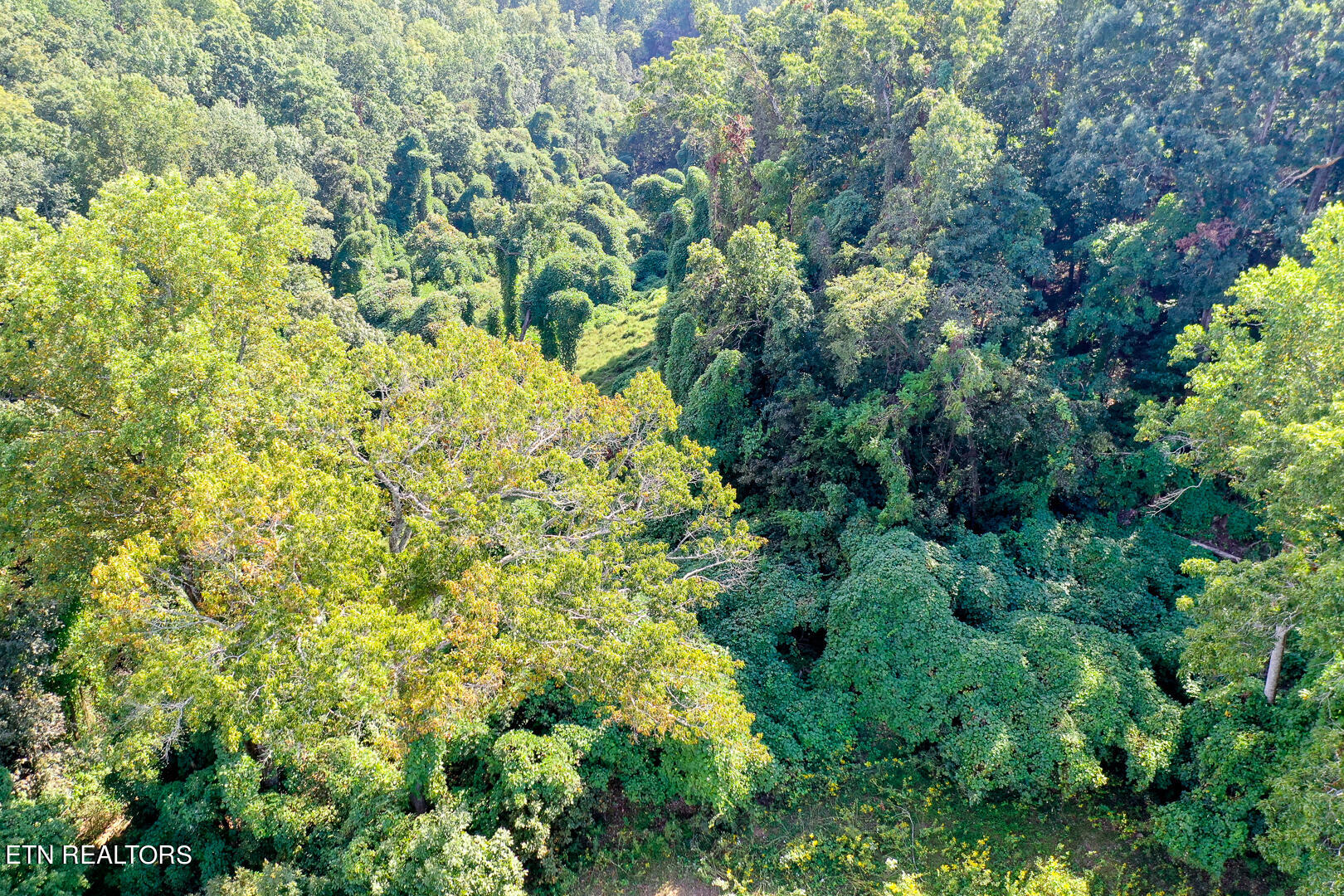3696 Crown Point Road Louisville TN 37777