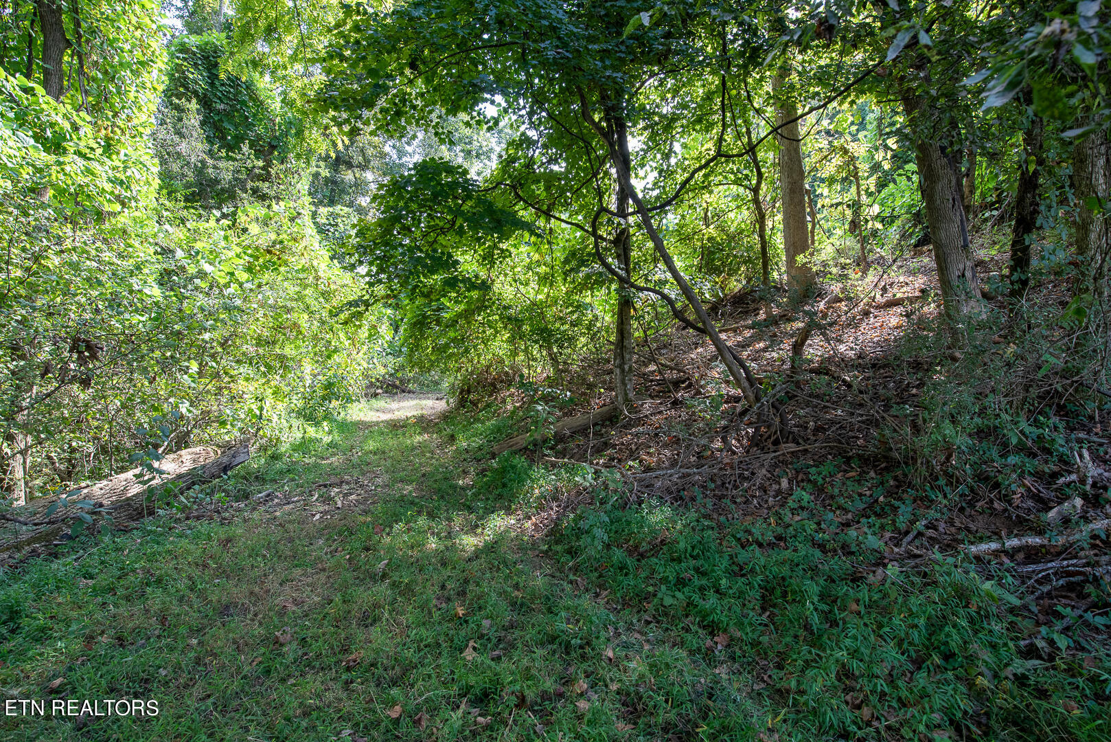 3696 Crown Point Road Louisville TN 37777