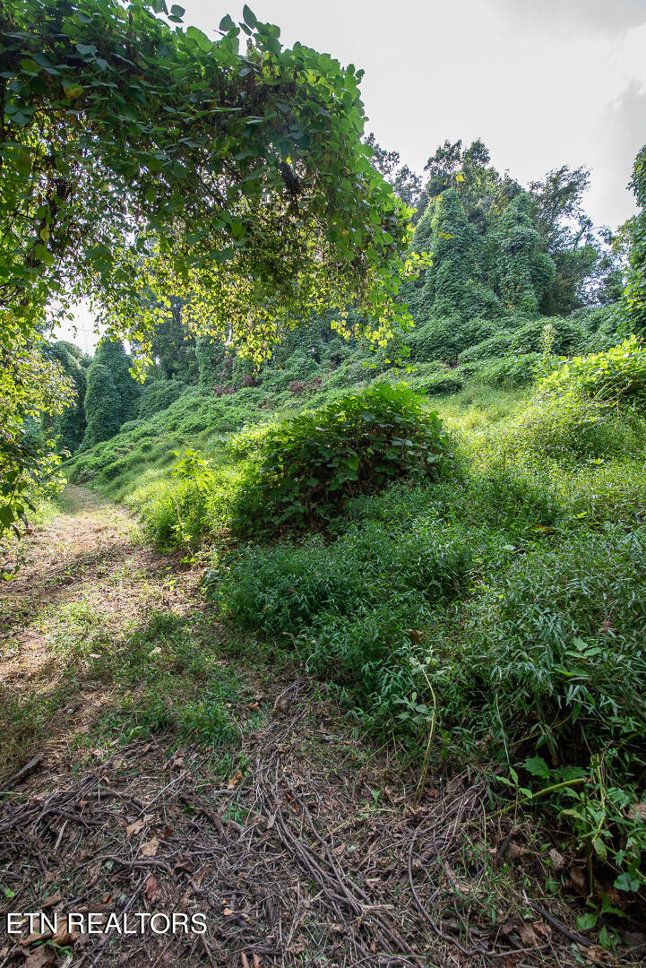 3696 Crown Point Road Louisville TN 37777