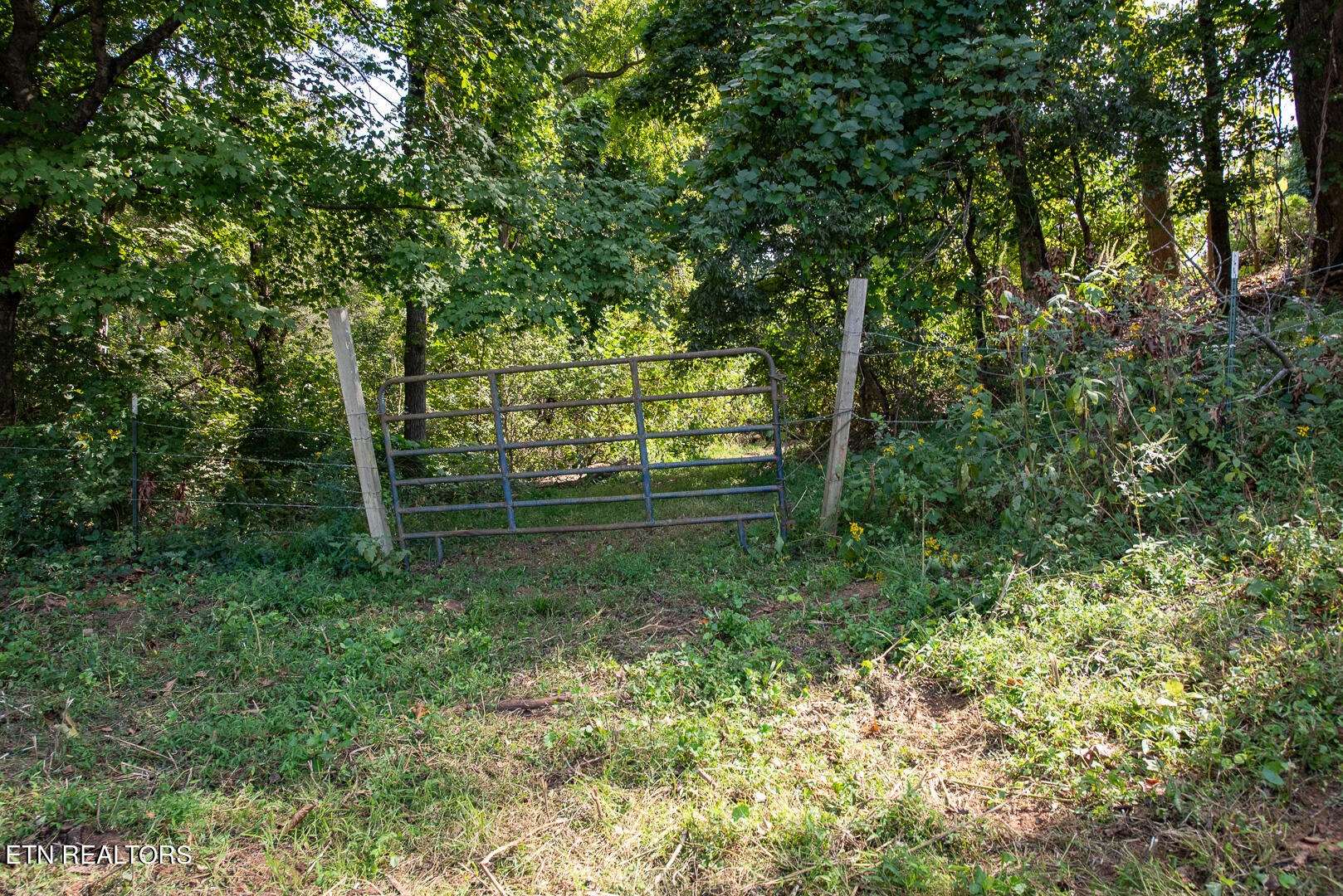3696 Crown Point Road Louisville TN 37777
