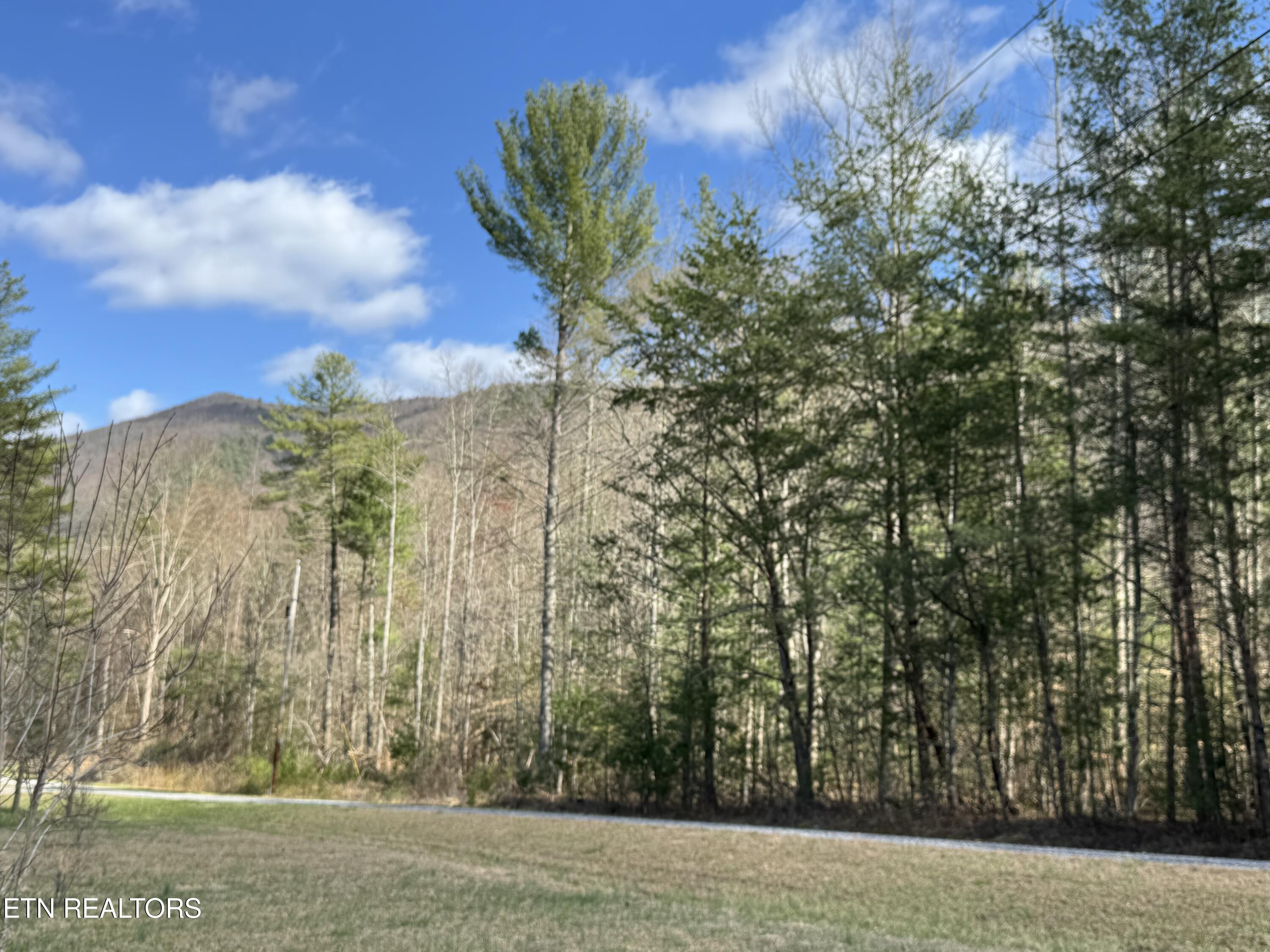 Cougar Trail 3ac Del Rio TN 37727