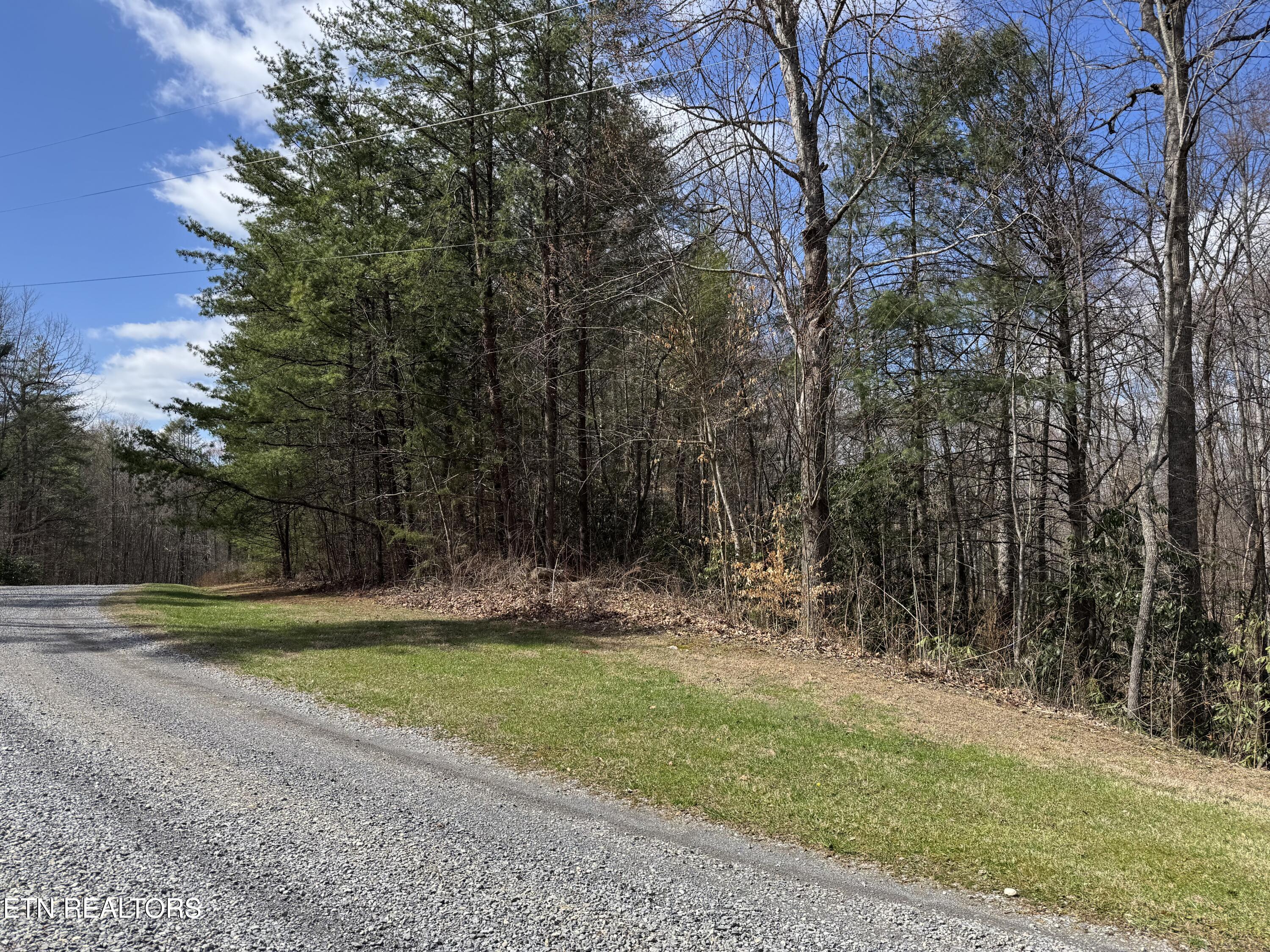 Cougar Trail 3ac Del Rio TN 37727