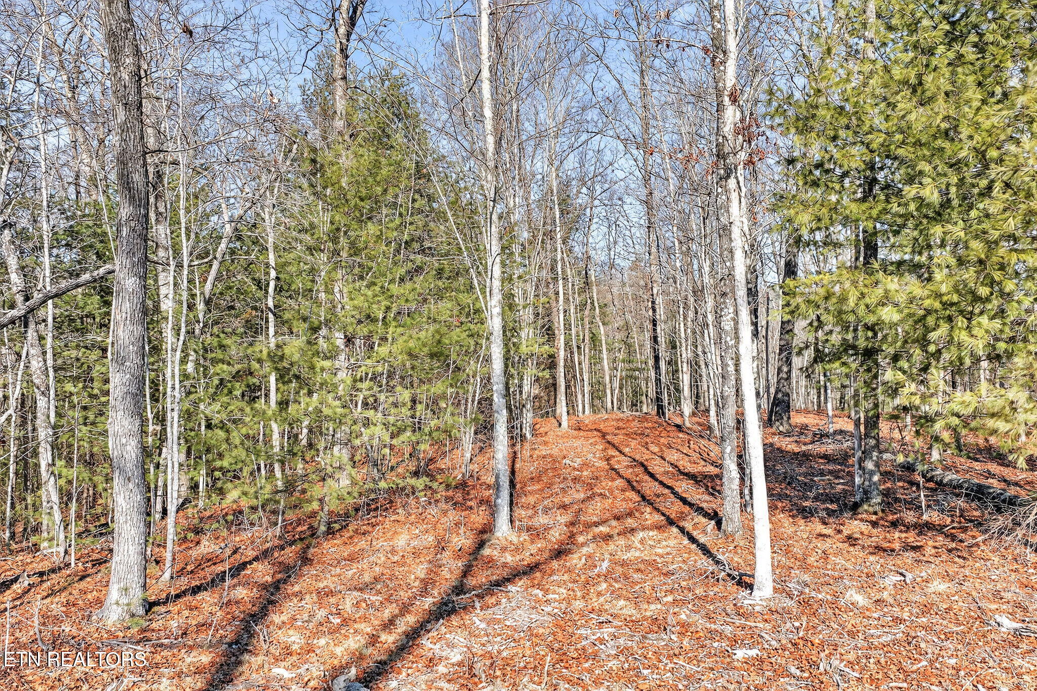 0 Proctor Place Road Jamestown TN 38556