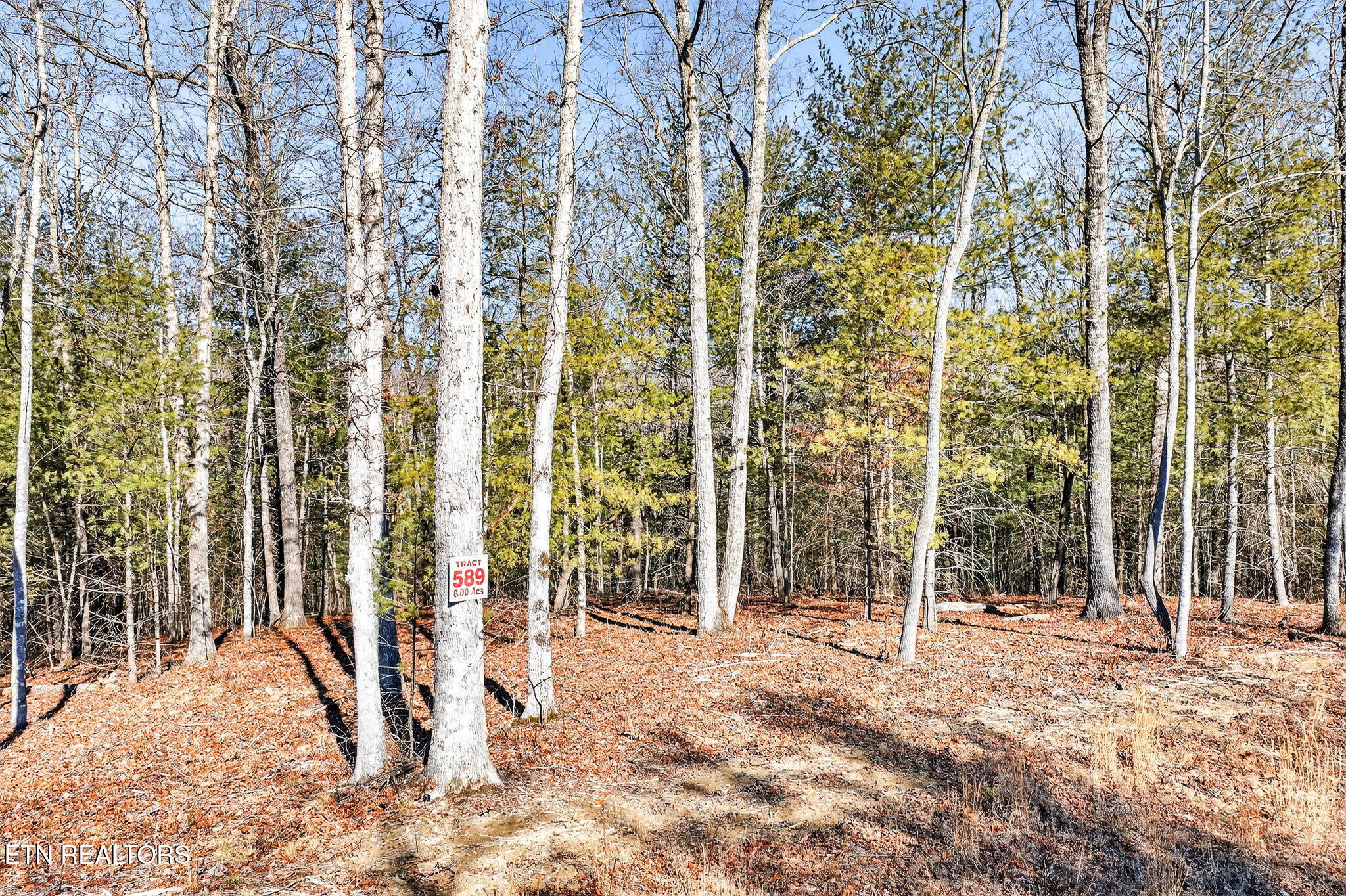 0 Proctor Place Road Jamestown TN 38556