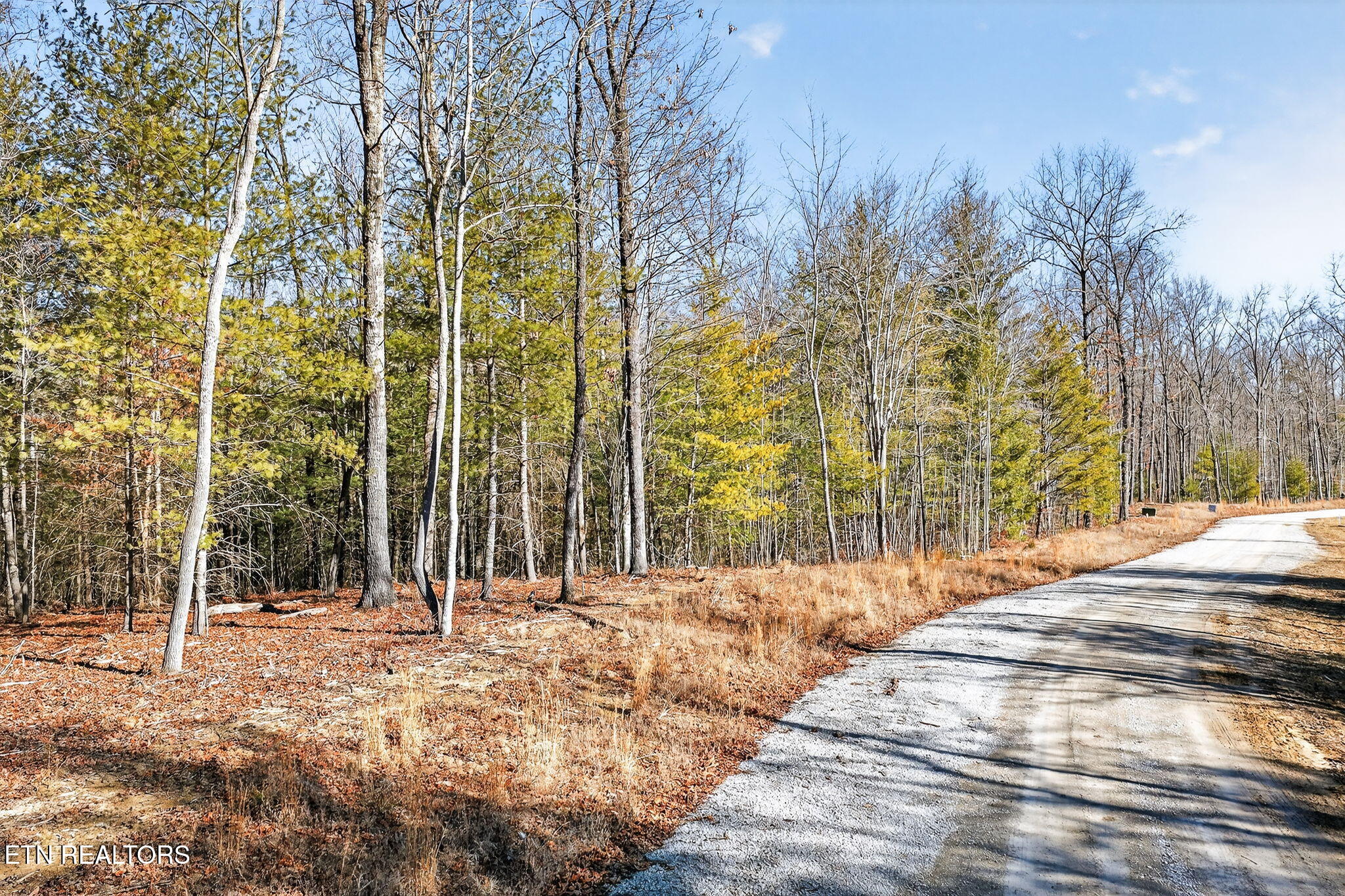 0 Proctor Place Road Jamestown TN 38556