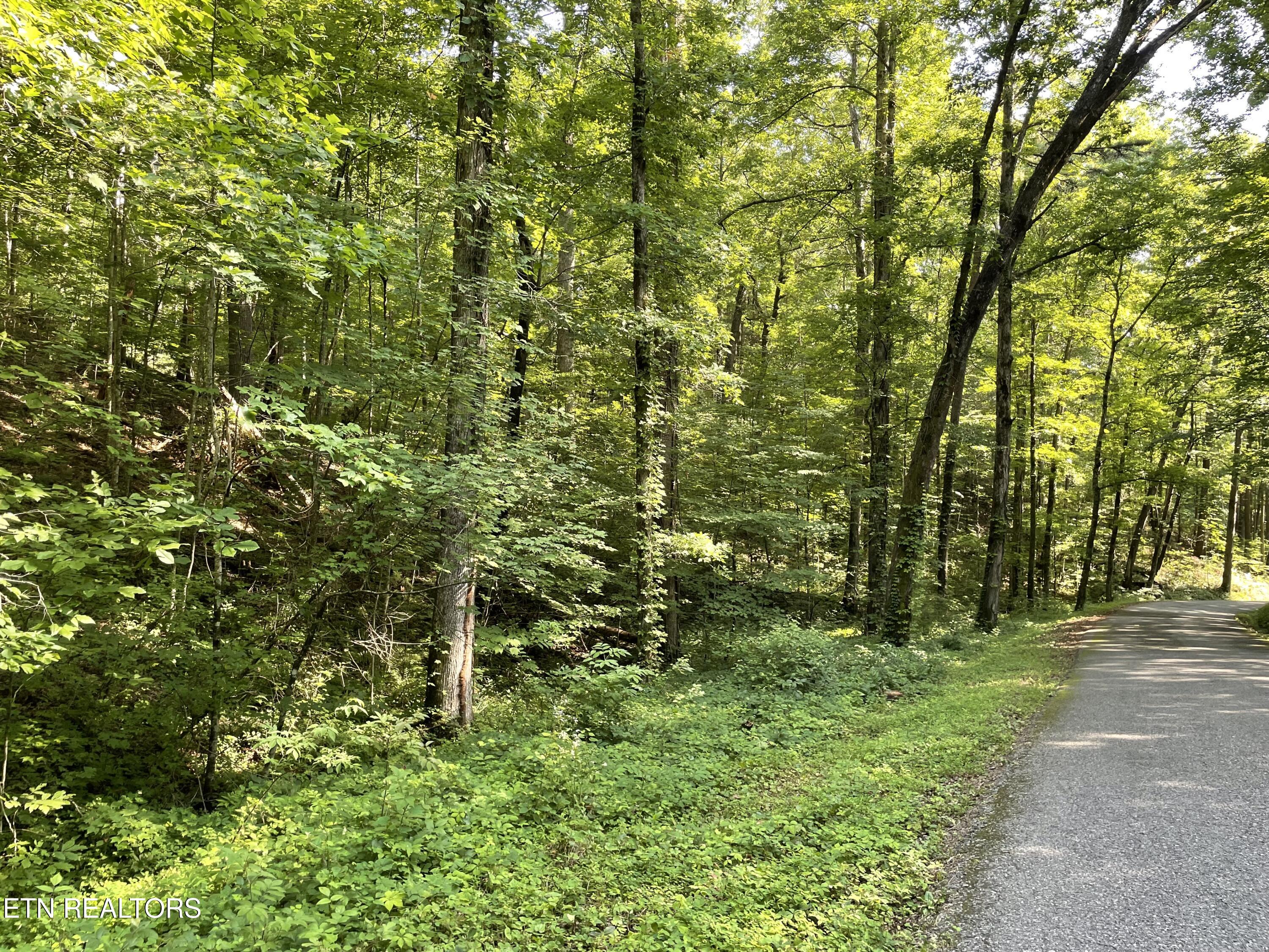 Turkey Creek Road Tellico Plains TN 37385