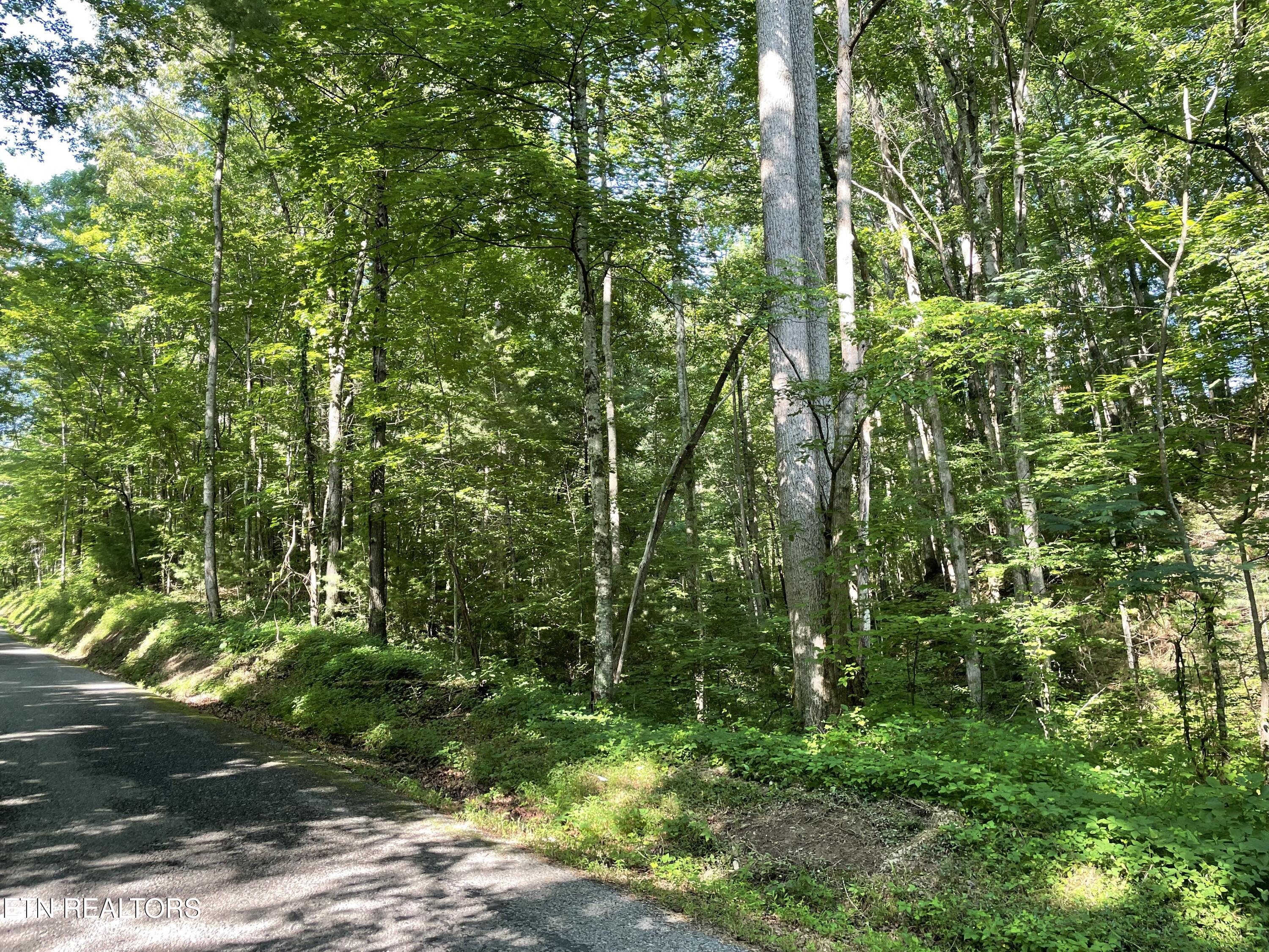 Turkey Creek Road Tellico Plains TN 37385