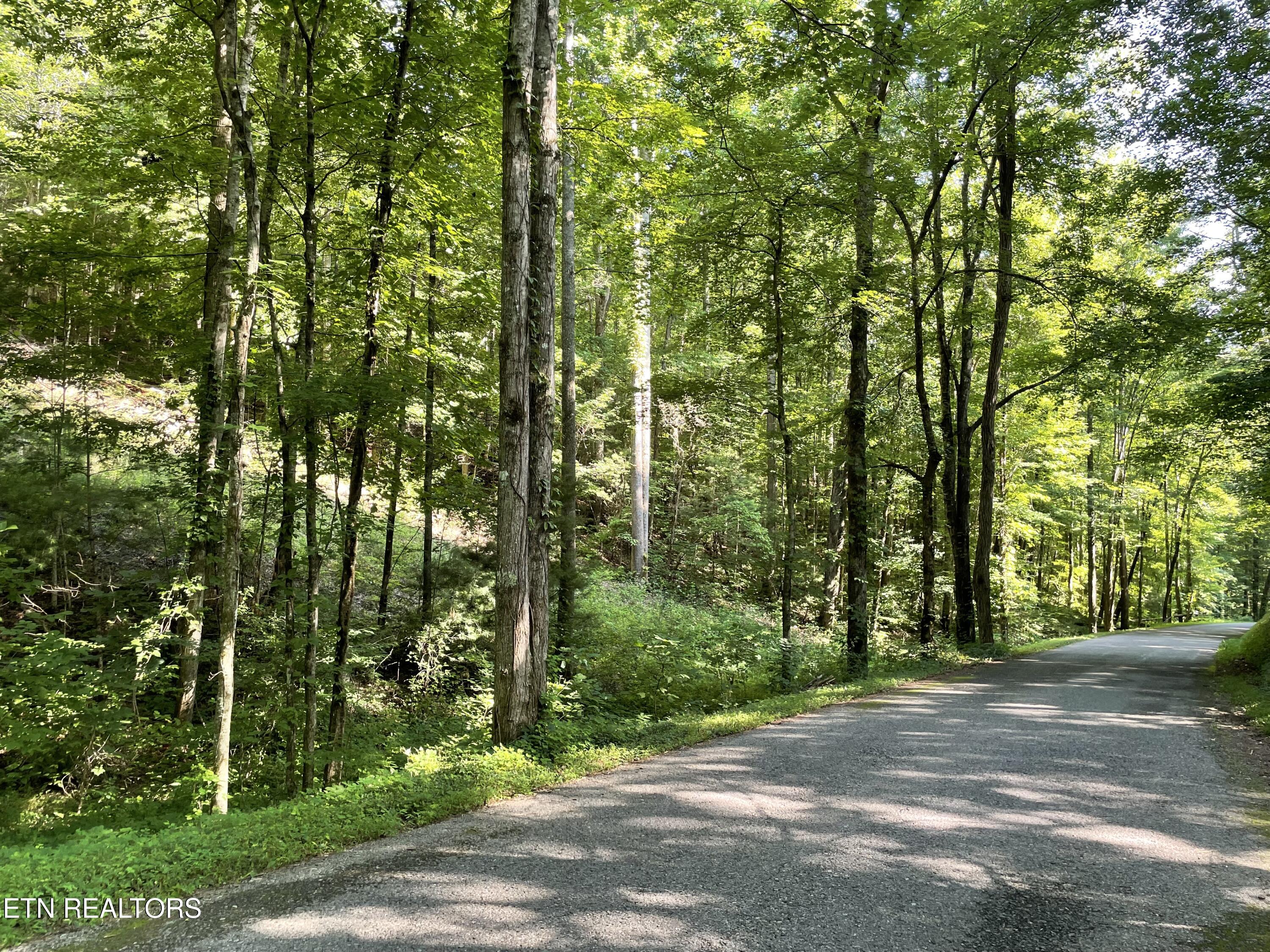 Turkey Creek Road Tellico Plains TN 37385