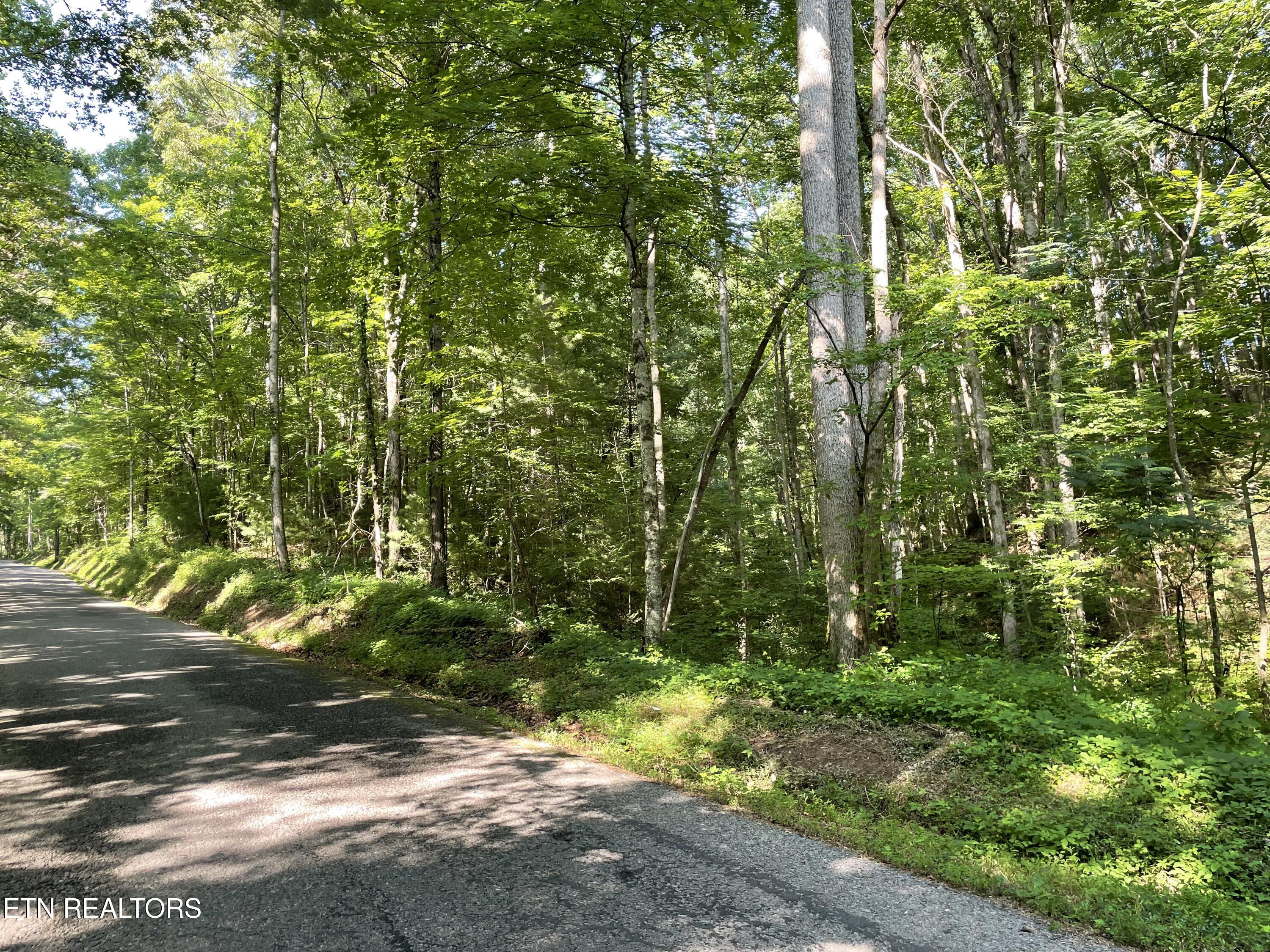 Turkey Creek Road Tellico Plains TN 37385