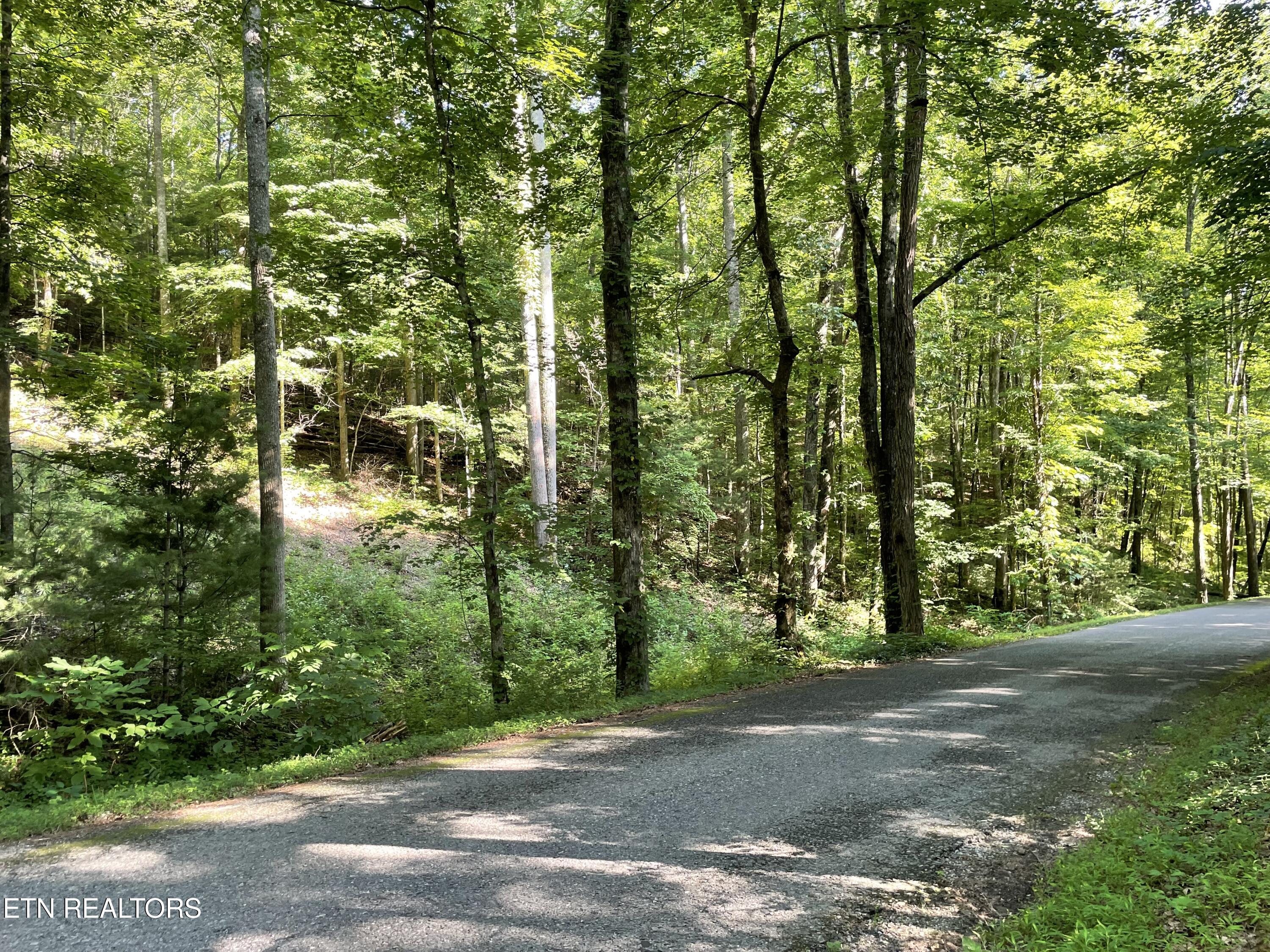 Turkey Creek Road Tellico Plains TN 37385