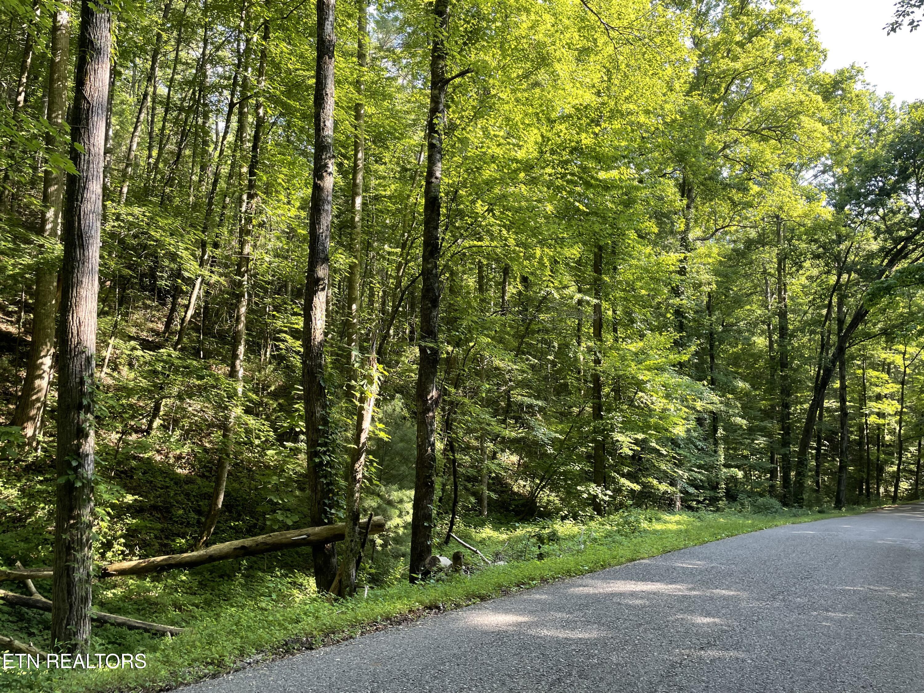 Turkey Creek Road Tellico Plains TN 37385