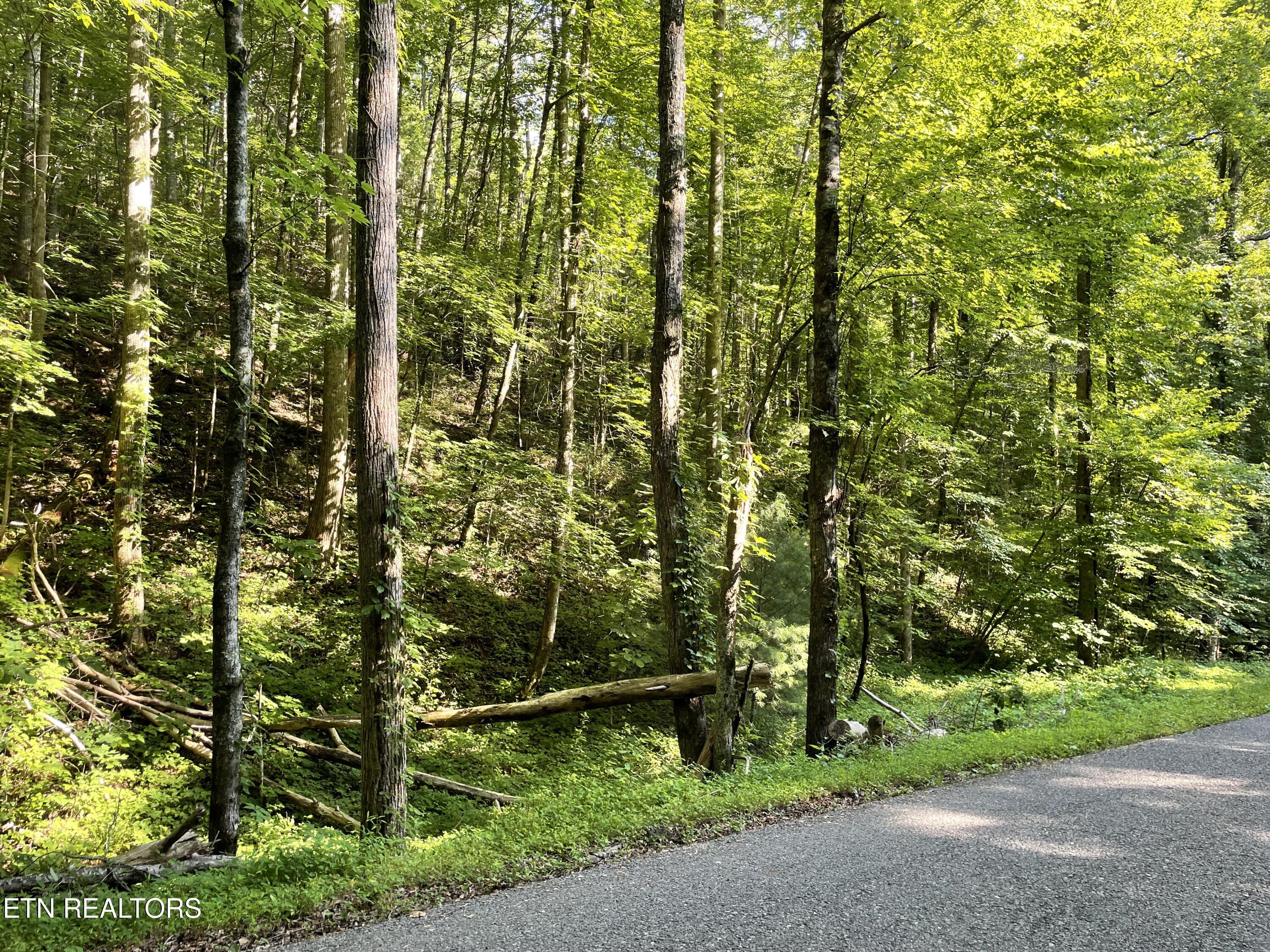 Turkey Creek Road Tellico Plains TN 37385