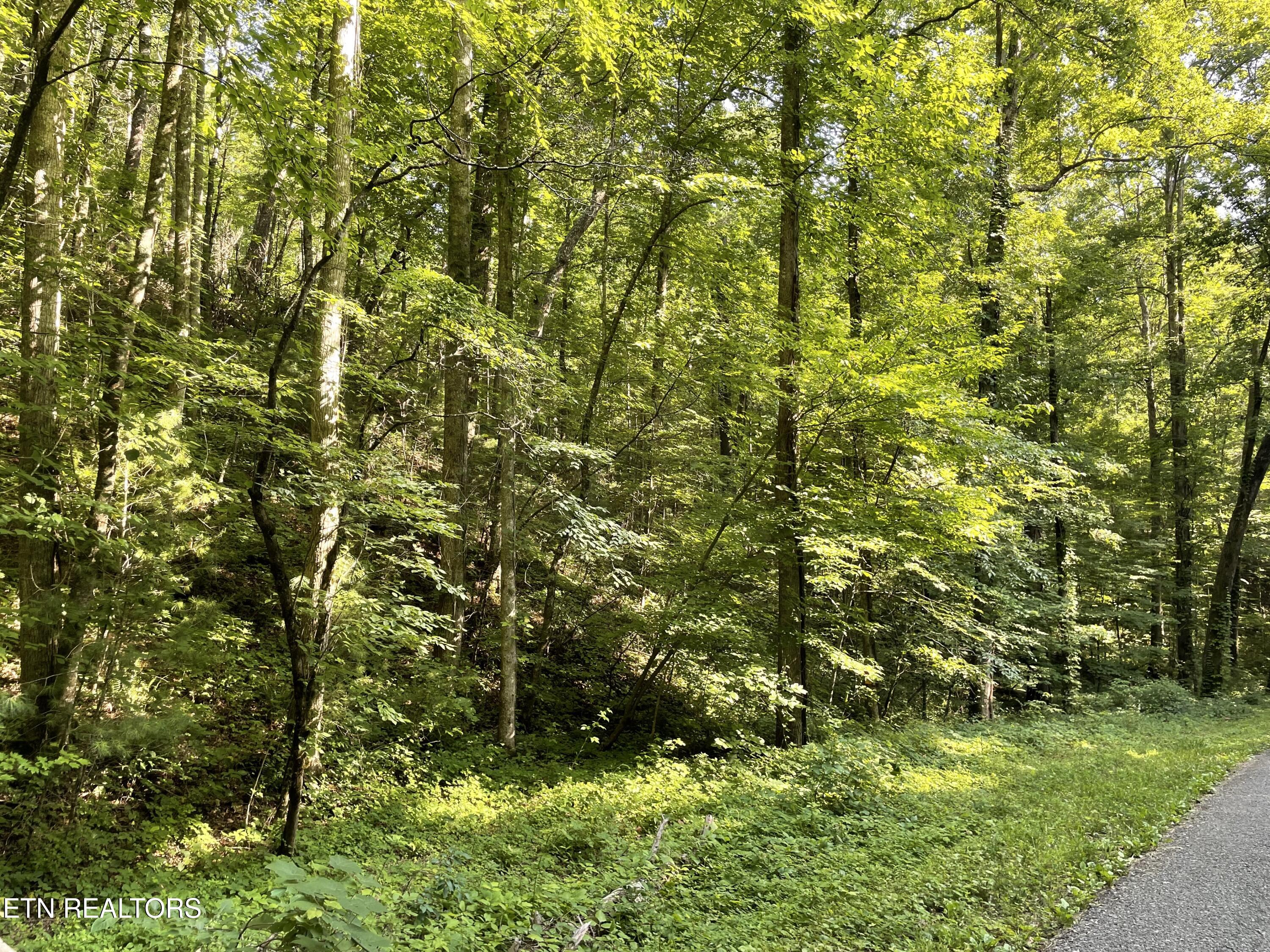 Turkey Creek Road Tellico Plains TN 37385