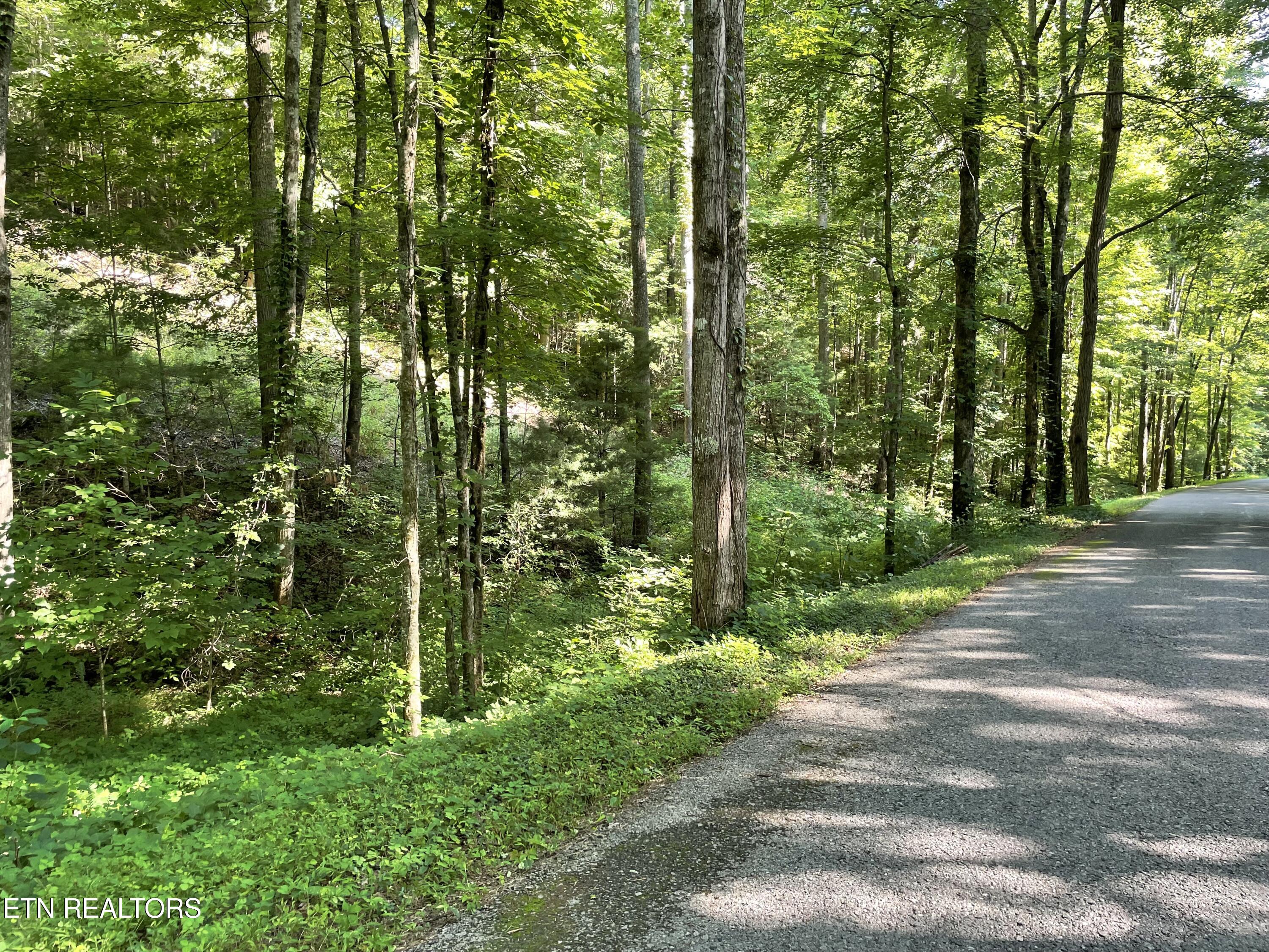 Turkey Creek Road Tellico Plains TN 37385