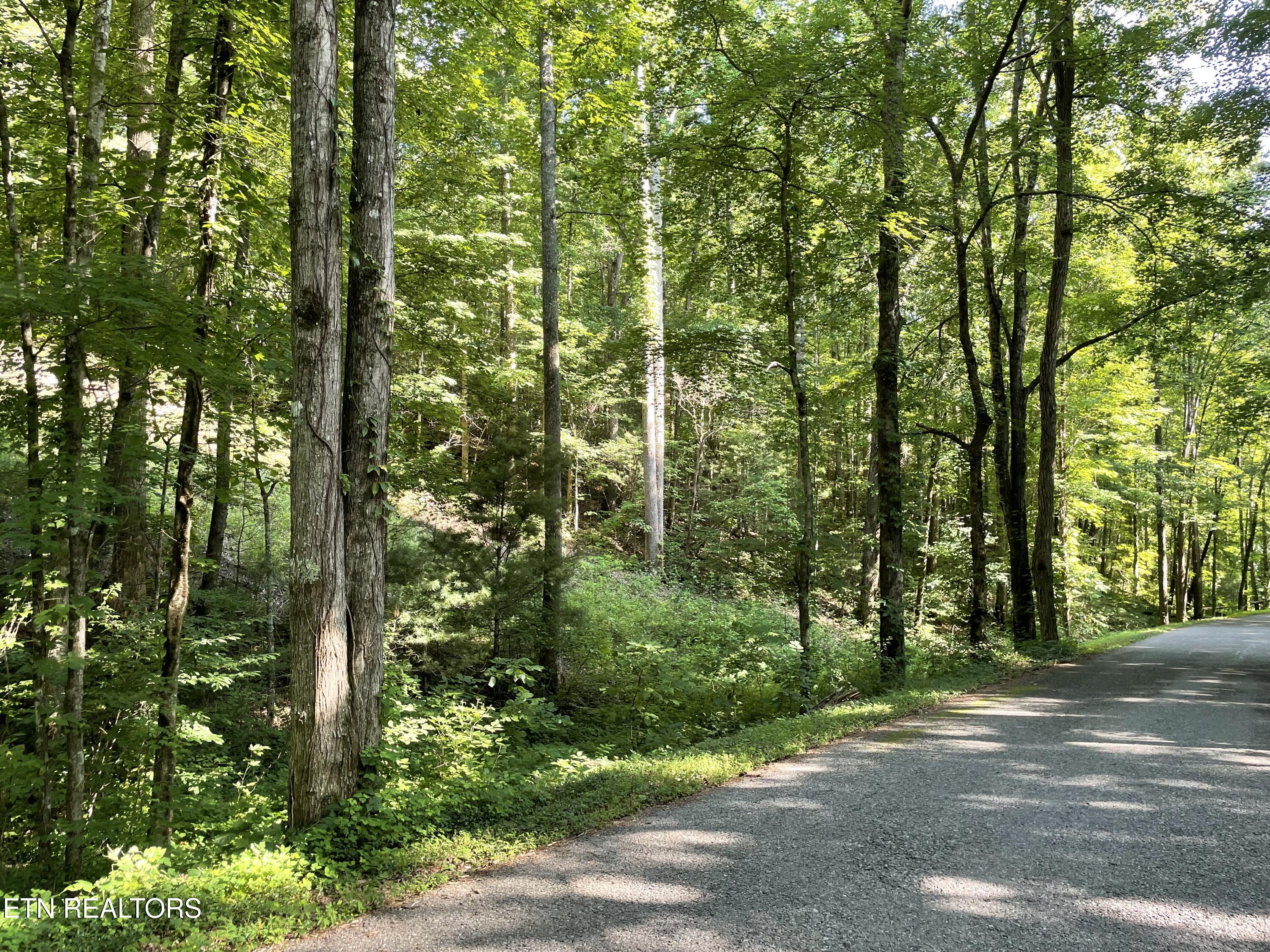 Turkey Creek Road Tellico Plains TN 37385