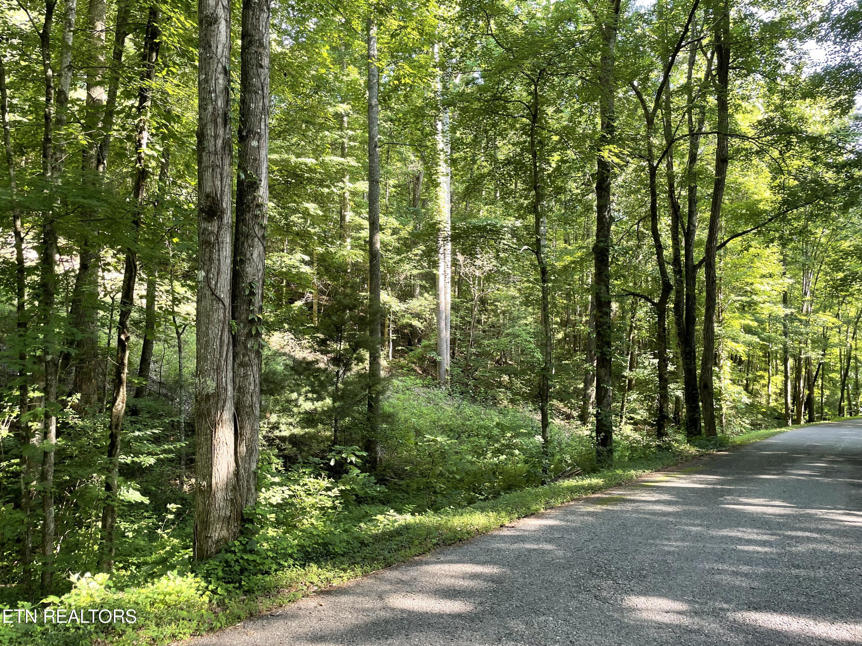 Turkey Creek Road Tellico Plains TN 37385