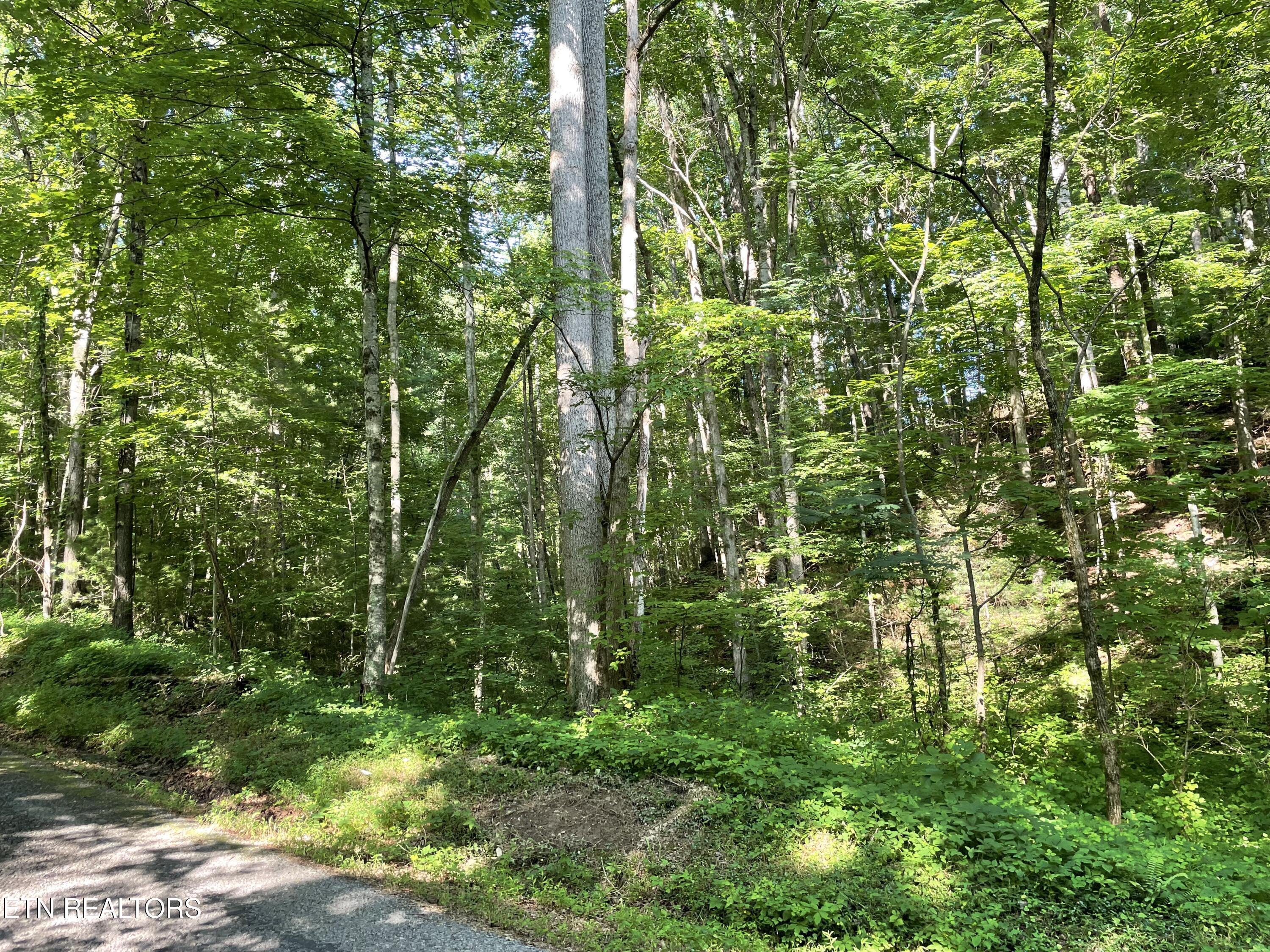 Turkey Creek Road Tellico Plains TN 37385