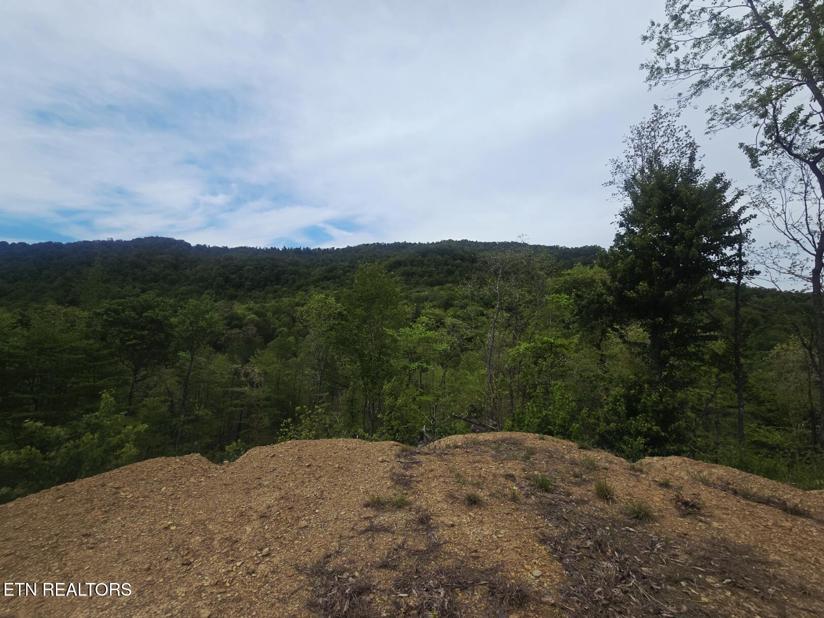 2774 Stanley Creek Road Oneida TN 37841
