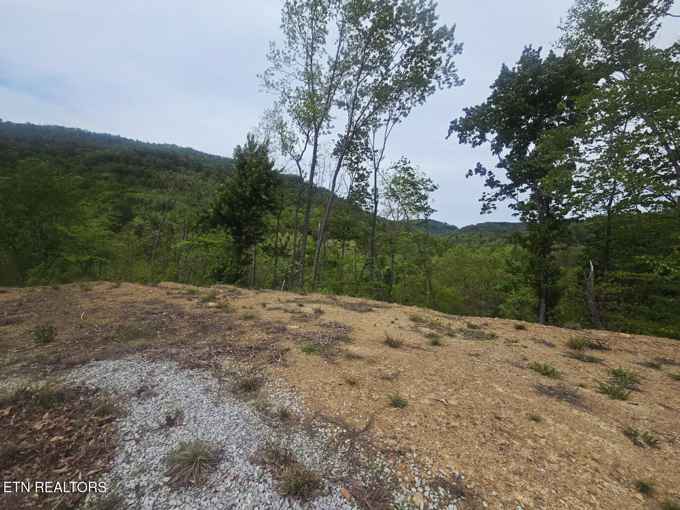 2774 Stanley Creek Road Oneida TN 37841
