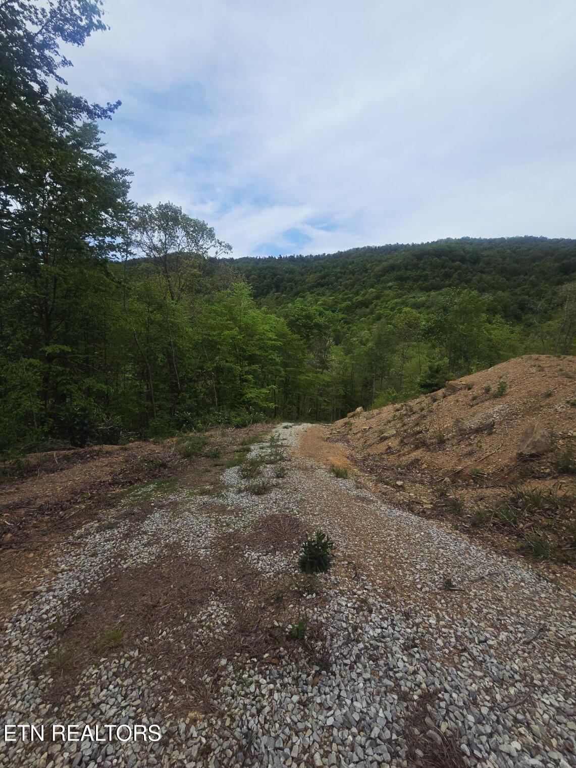 2774 Stanley Creek Road Oneida TN 37841