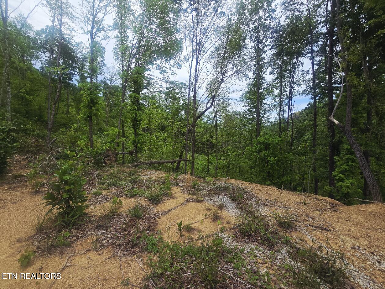 2774 Stanley Creek Road Oneida TN 37841