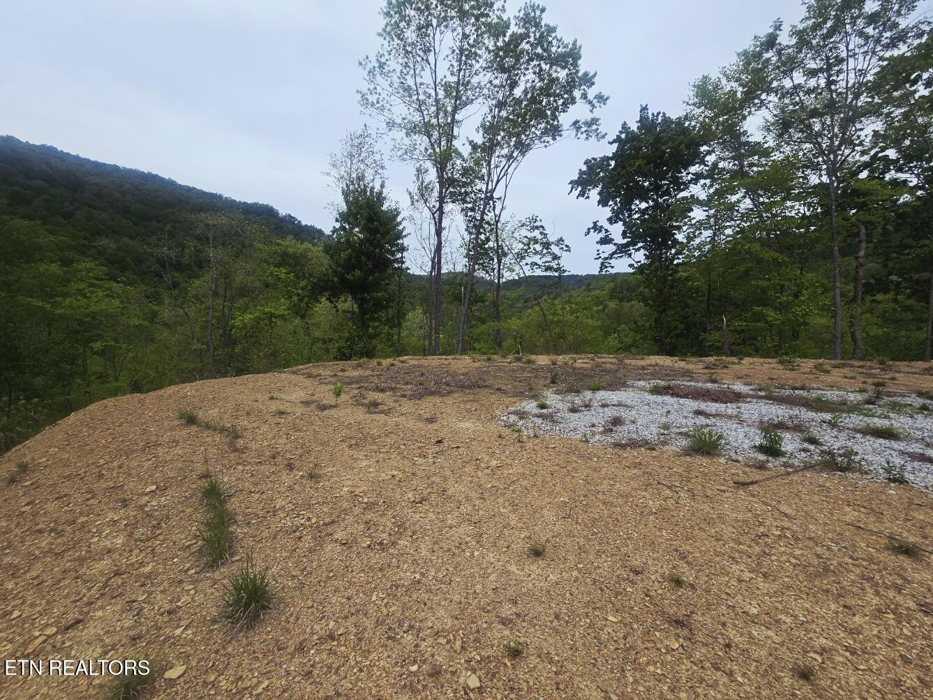 2774 Stanley Creek Road Oneida TN 37841