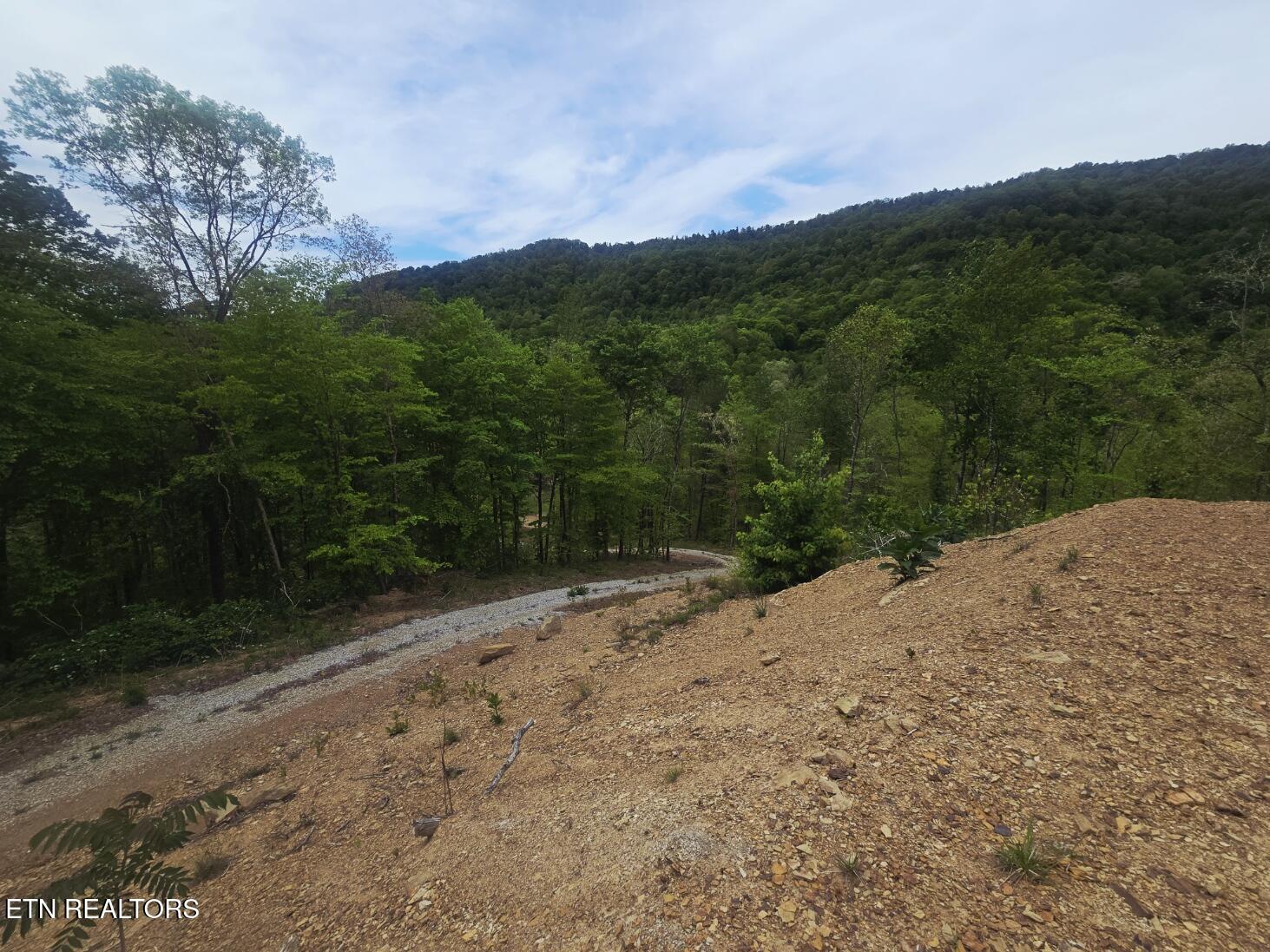 2774 Stanley Creek Road Oneida TN 37841