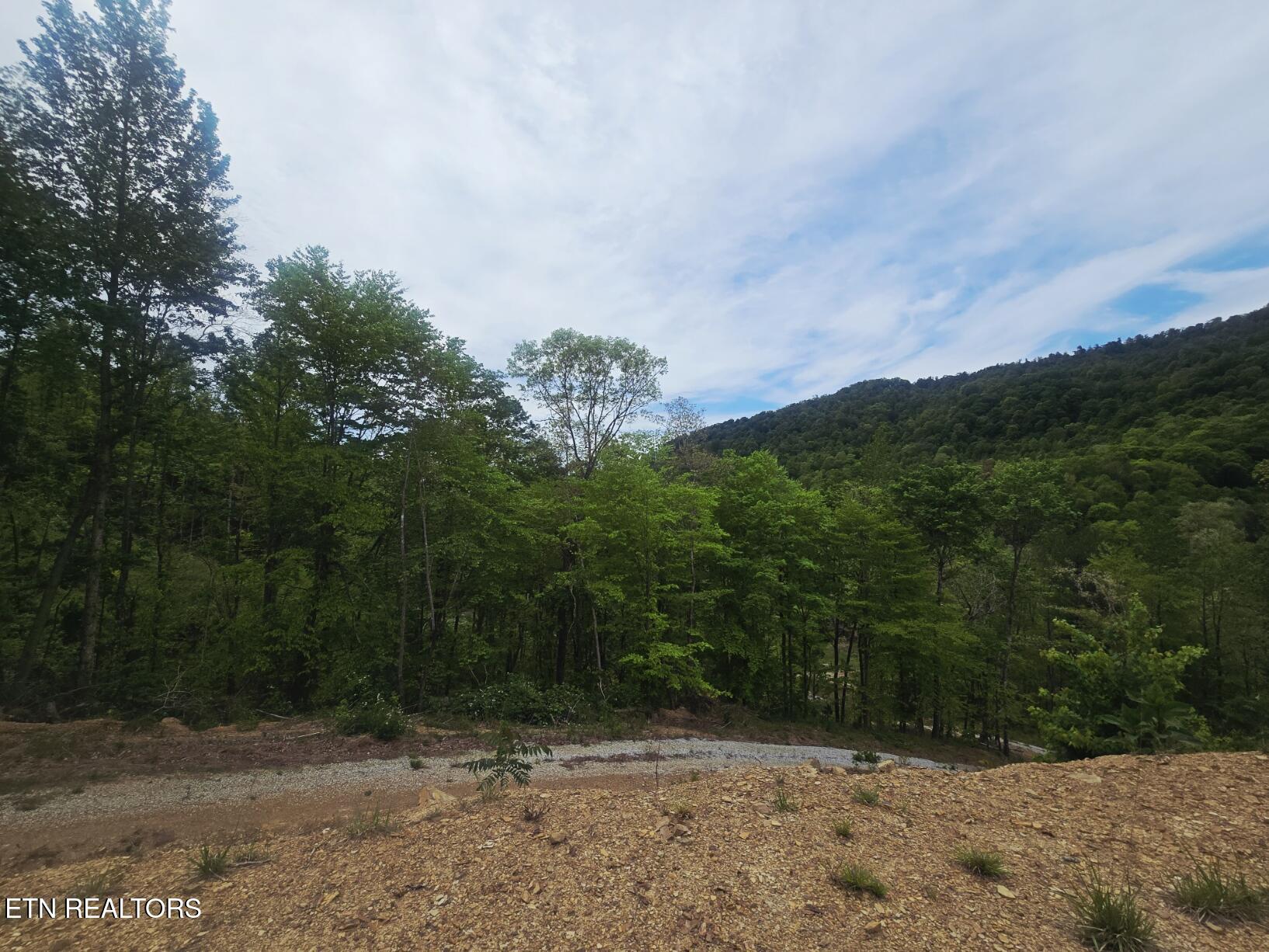 2774 Stanley Creek Road Oneida TN 37841