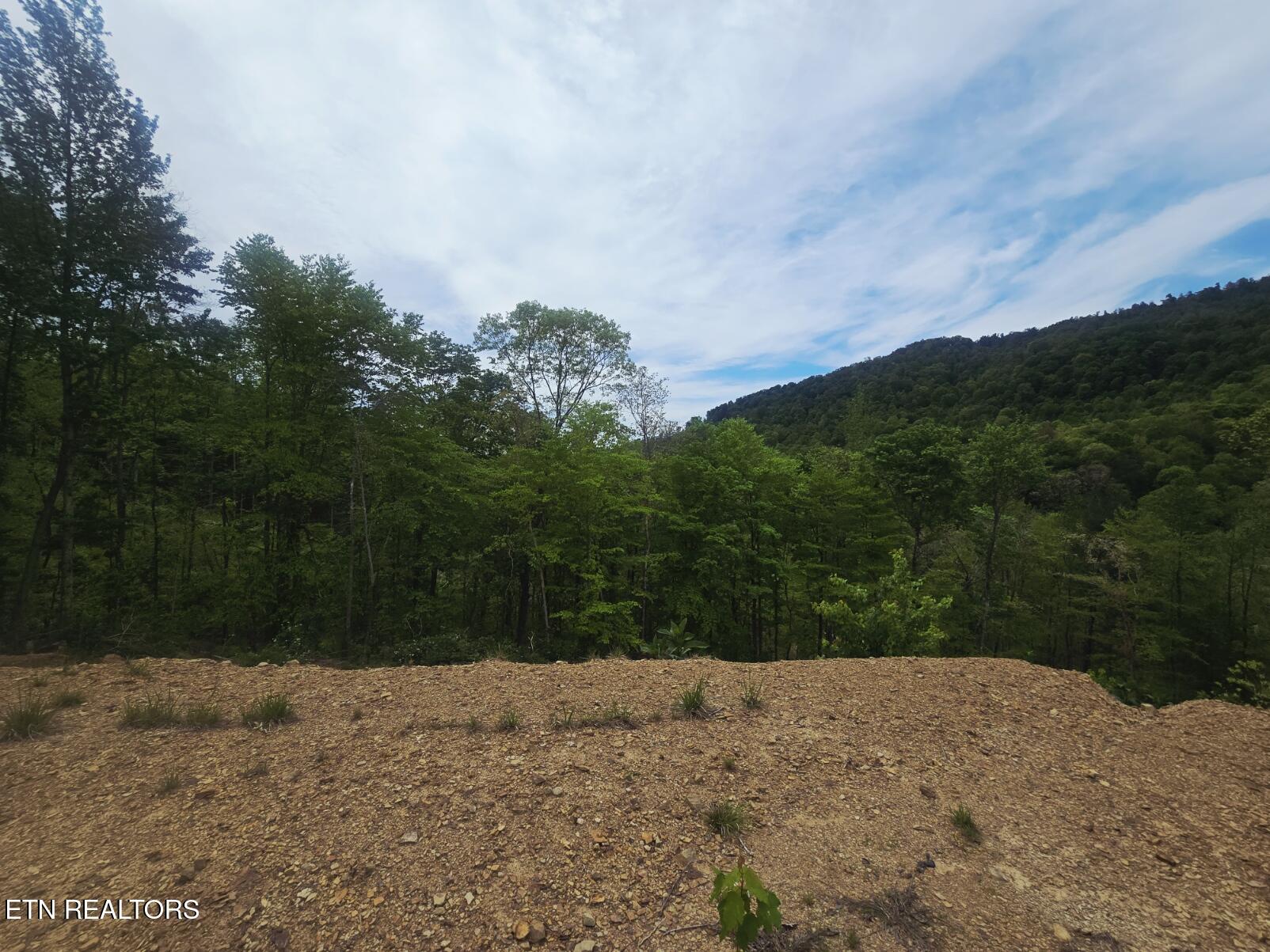 2774 Stanley Creek Road Oneida TN 37841