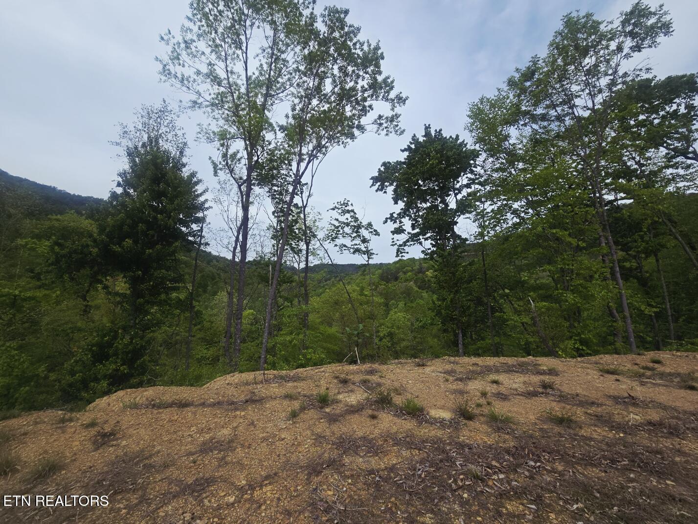 2774 Stanley Creek Road Oneida TN 37841