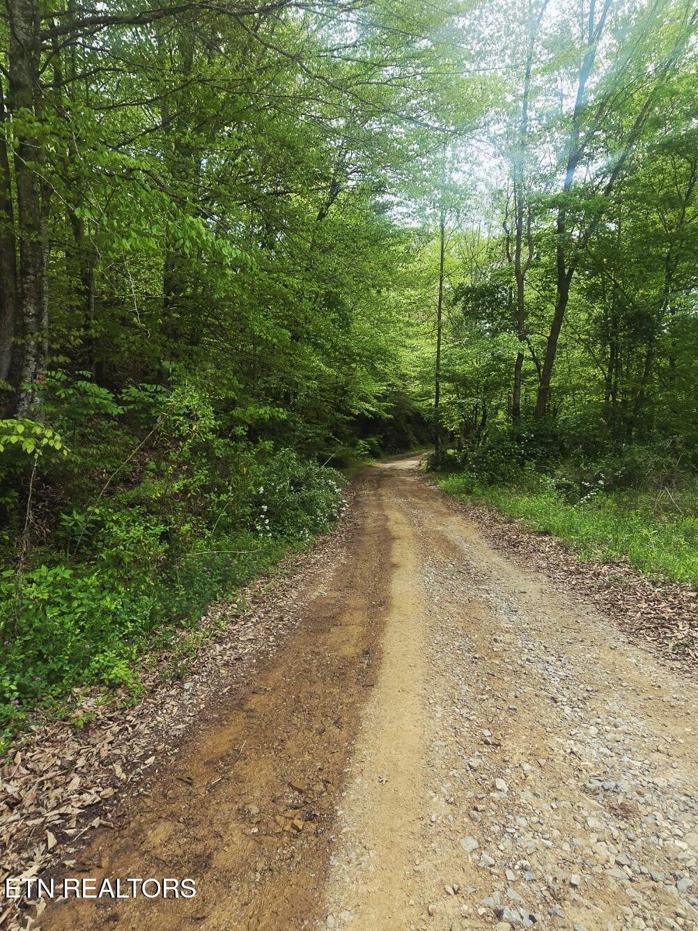 2774 Stanley Creek Road Oneida TN 37841