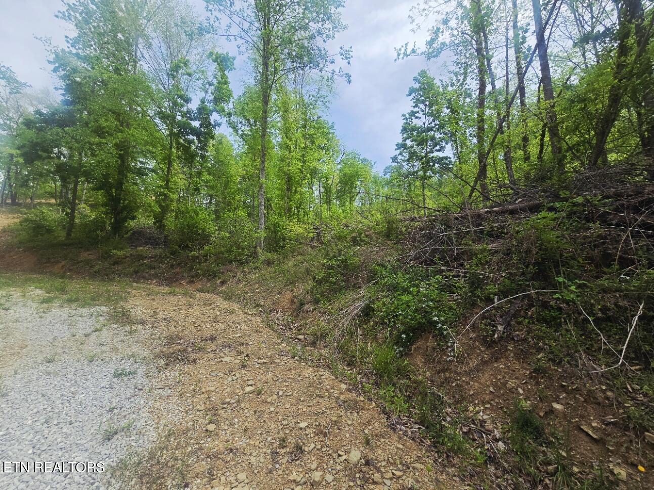 2774 Stanley Creek Road Oneida TN 37841